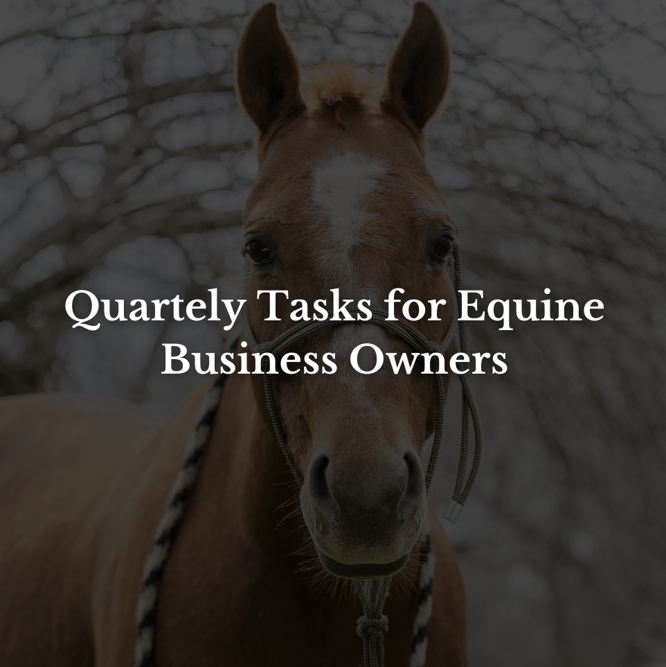 Quarterly tasks for equine business owners