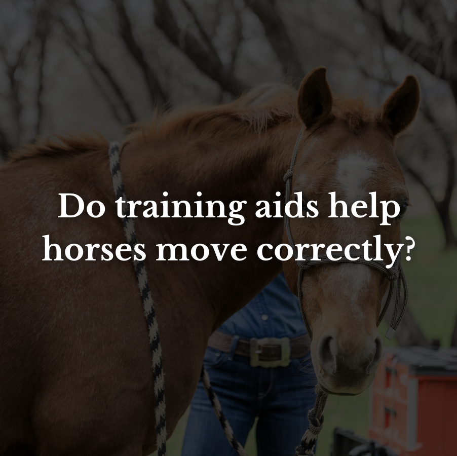 Do training aids really help horses move correctly?