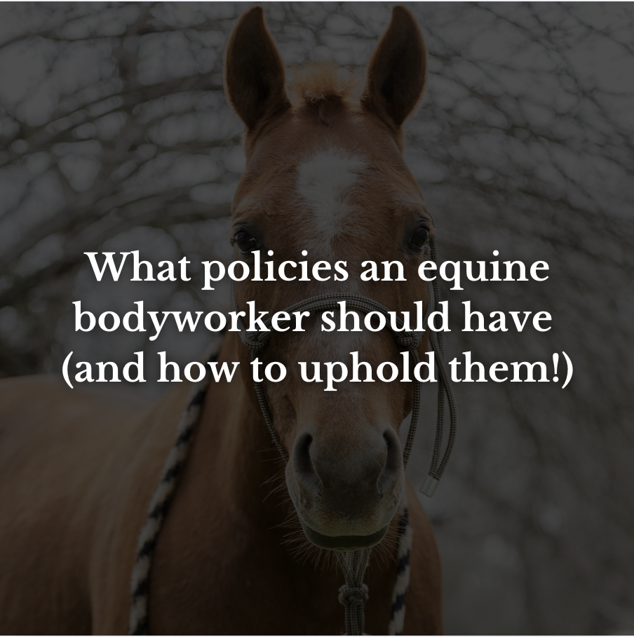 What policies an equine bodyworker should have (and how to uphold them!)