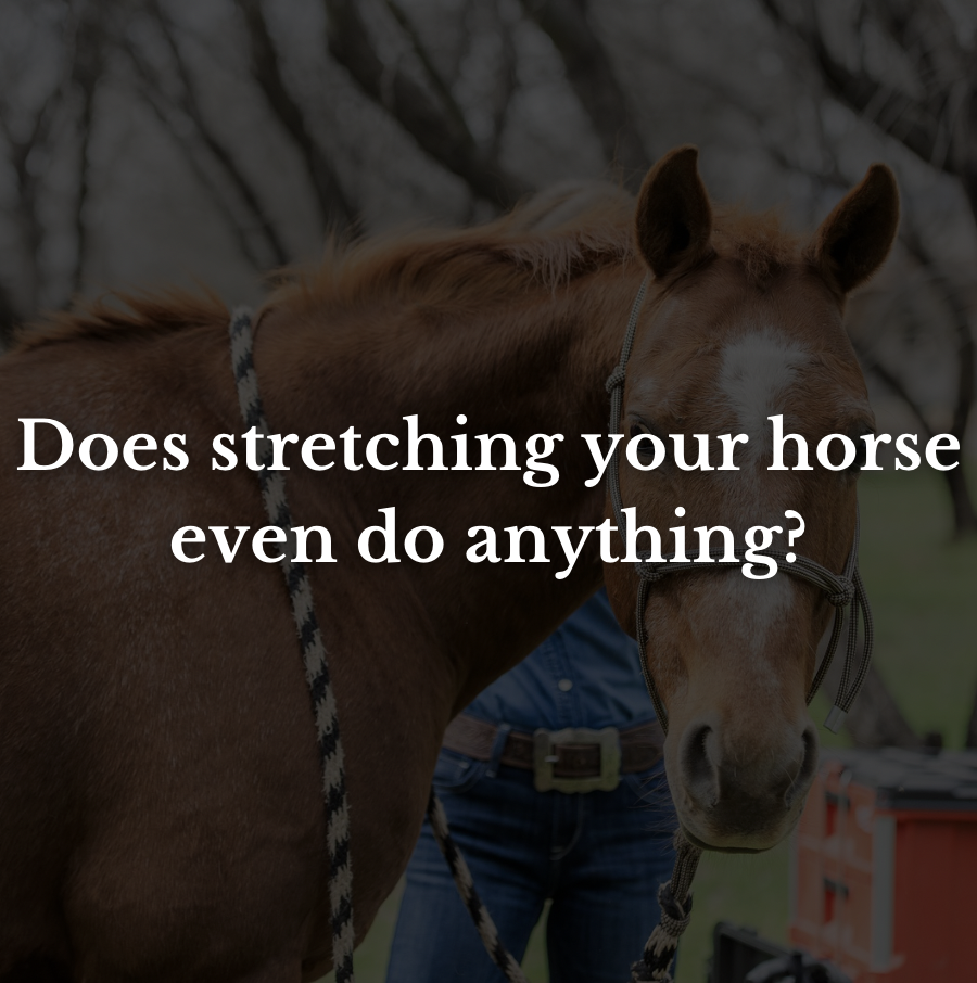 Does stretching your horse even do anything?