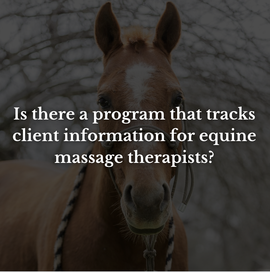 Is there a program that tracks client information for equine massage therapists?