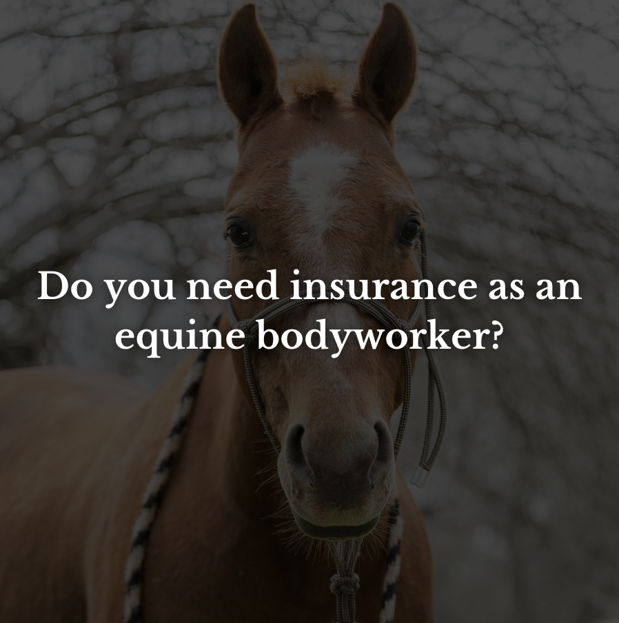 Do you need insurance as an equine bodyworker?