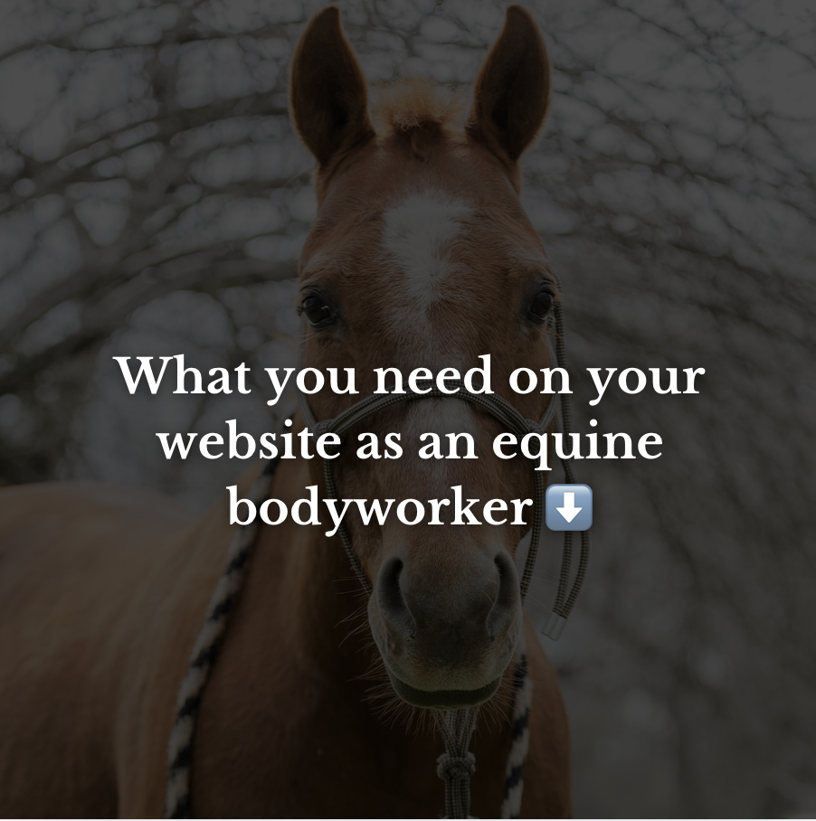 What you need on your website as an equine bodyworker ⬇️