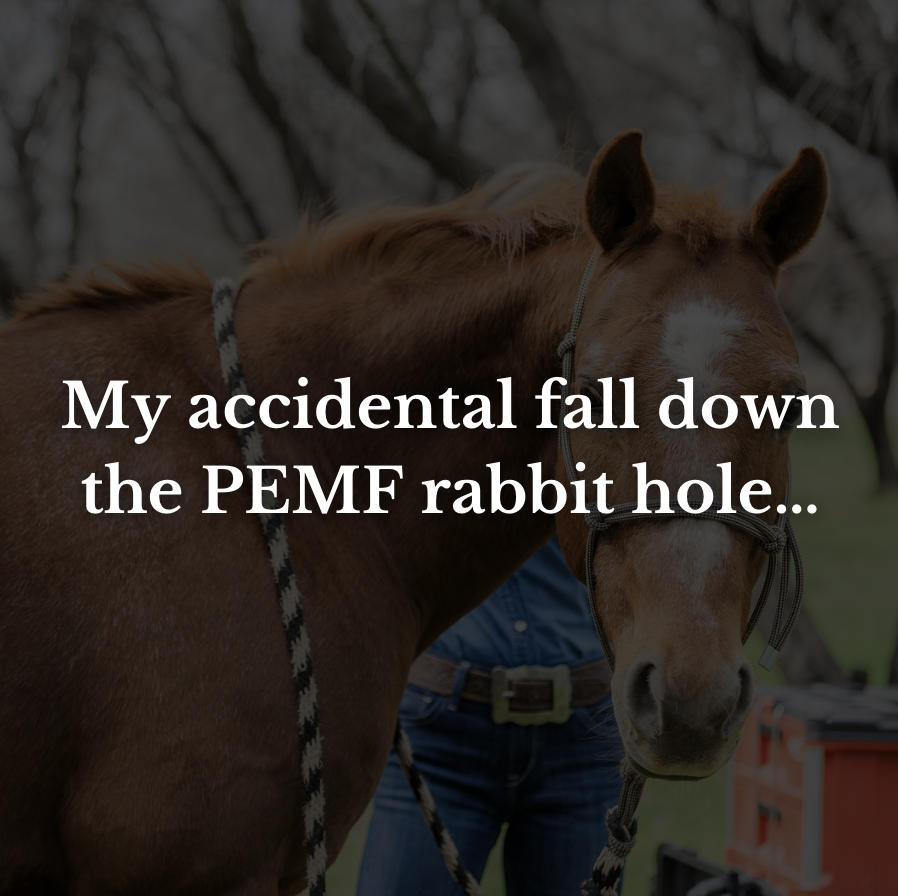 My accidental fall down the PEMF rabbit hole…