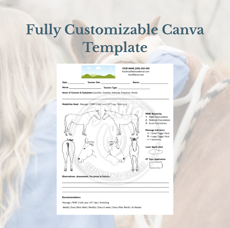 Equine Bodyworker Session Notes Template