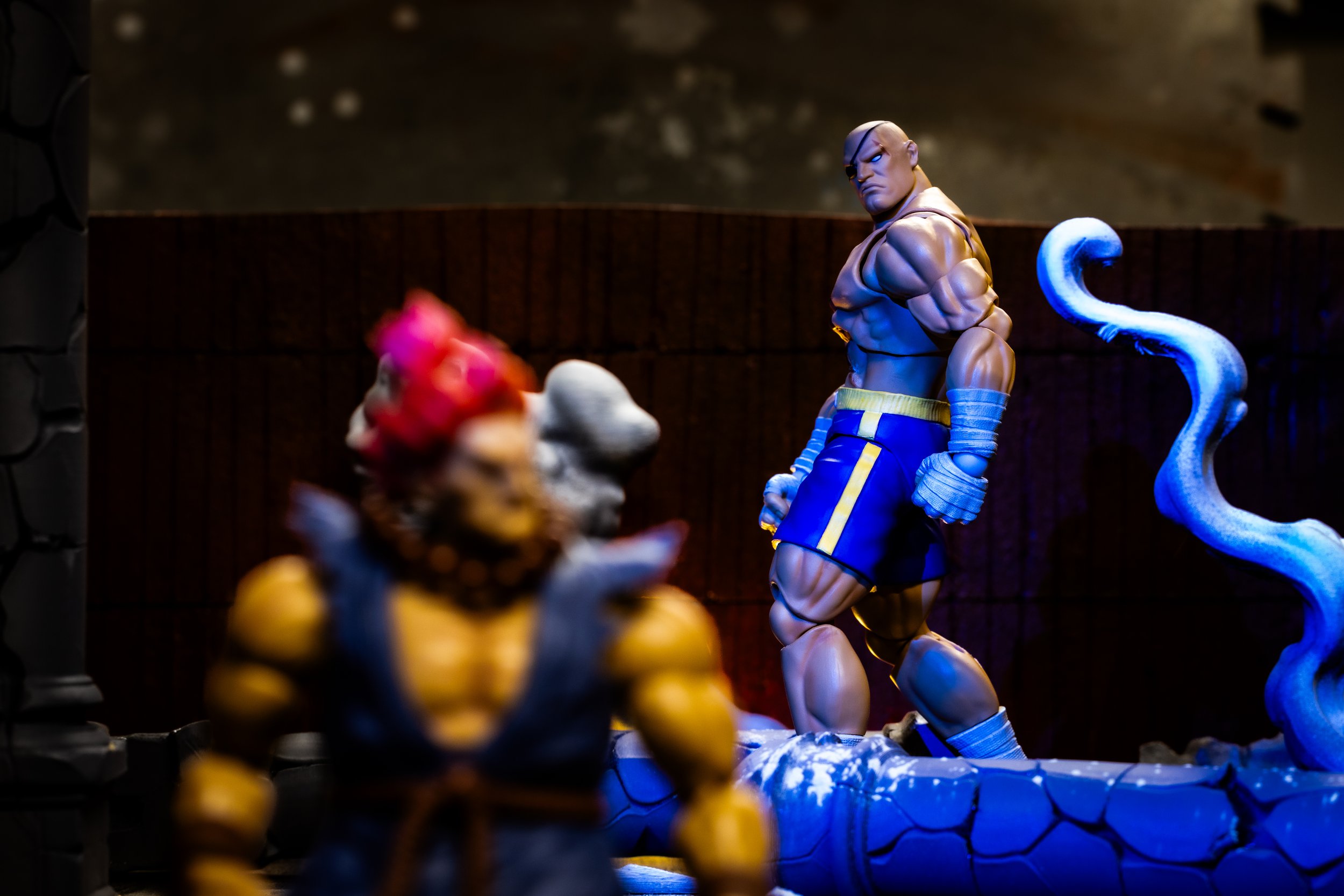 325A9751-2.jpg