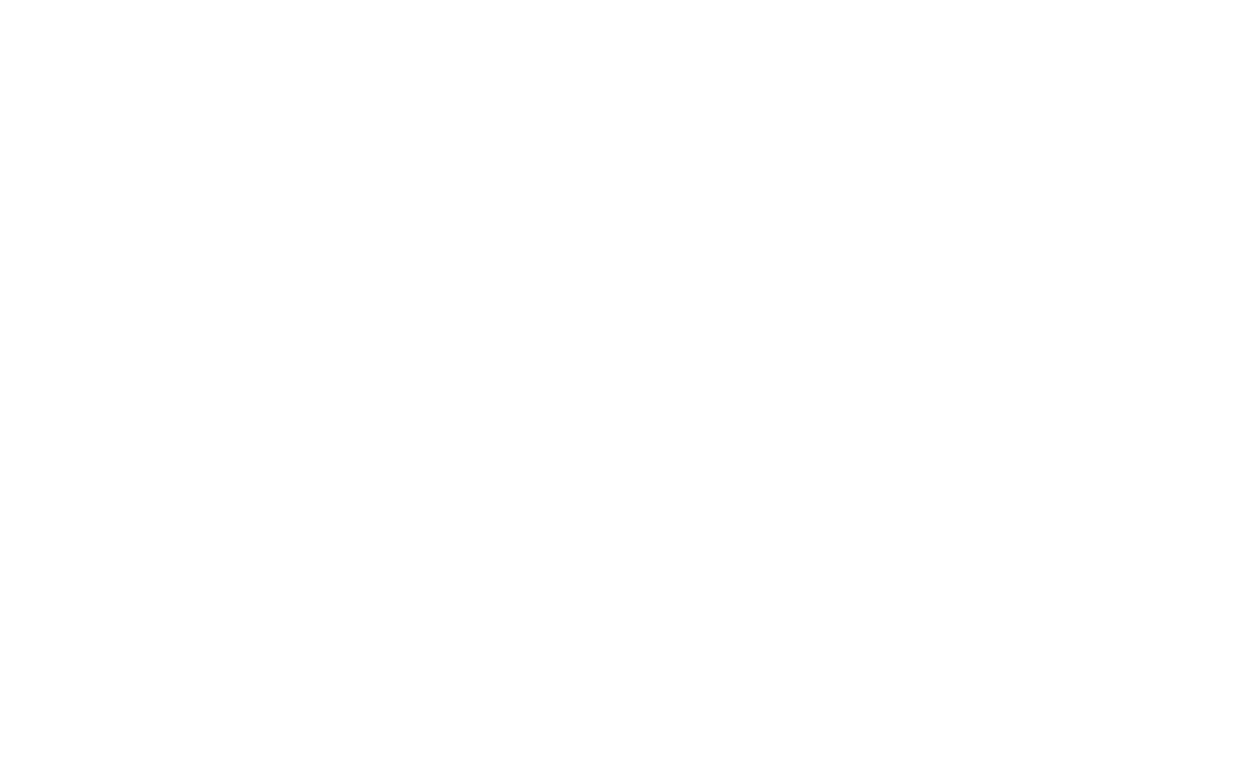 SAFSF_white_small3.png