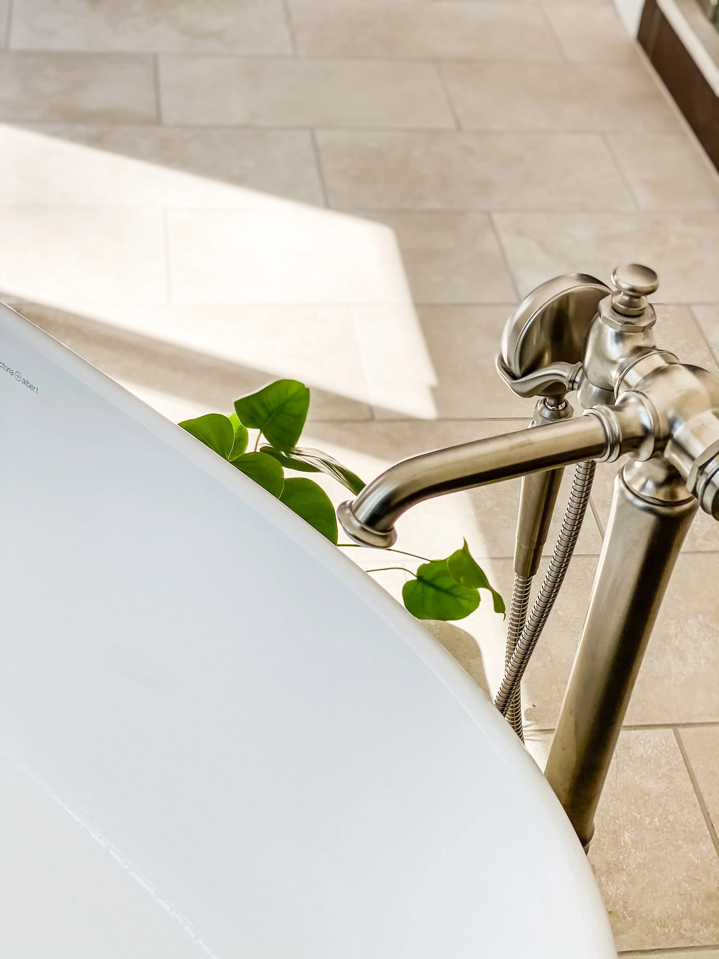 Bath Tub Faucet Fixture.jpg
