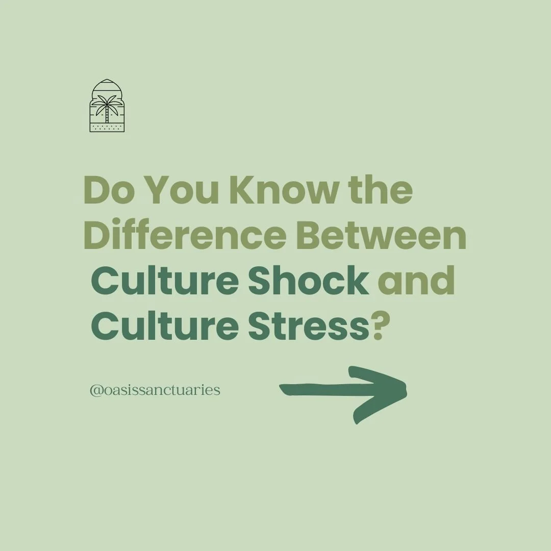 Do you know the difference between Culture Shock &amp; Culture Stress ? 

Click on the Resources link in our bio for tips on what can be done to manage it during the holidays!