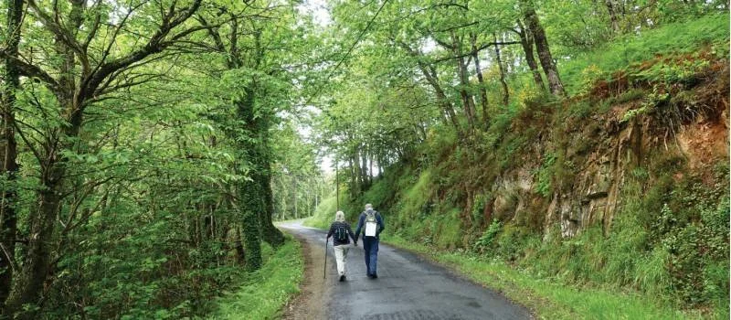 Camino Fitness Week Eight