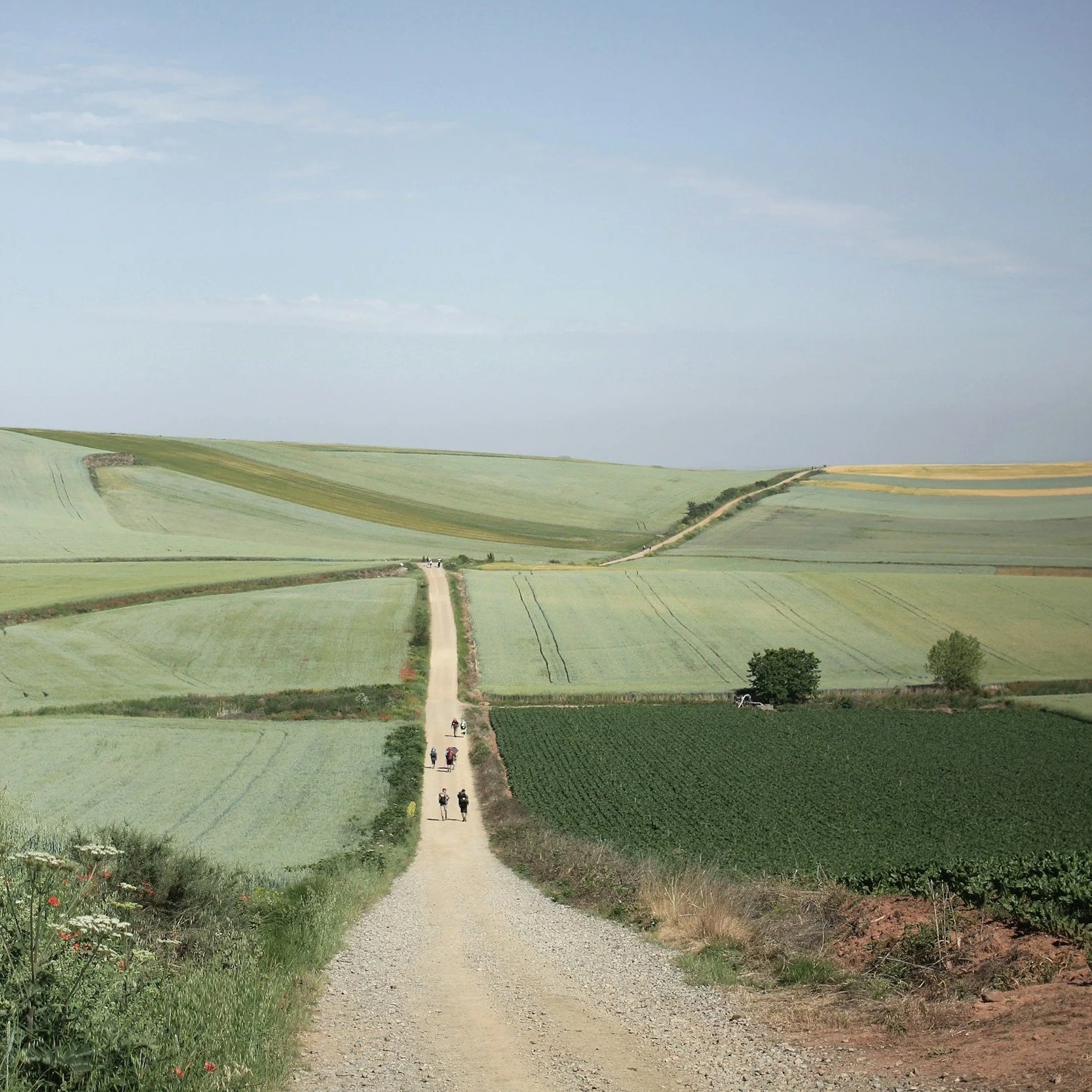 Why the "Camino Shuffle" is an Injury Warning Sign.