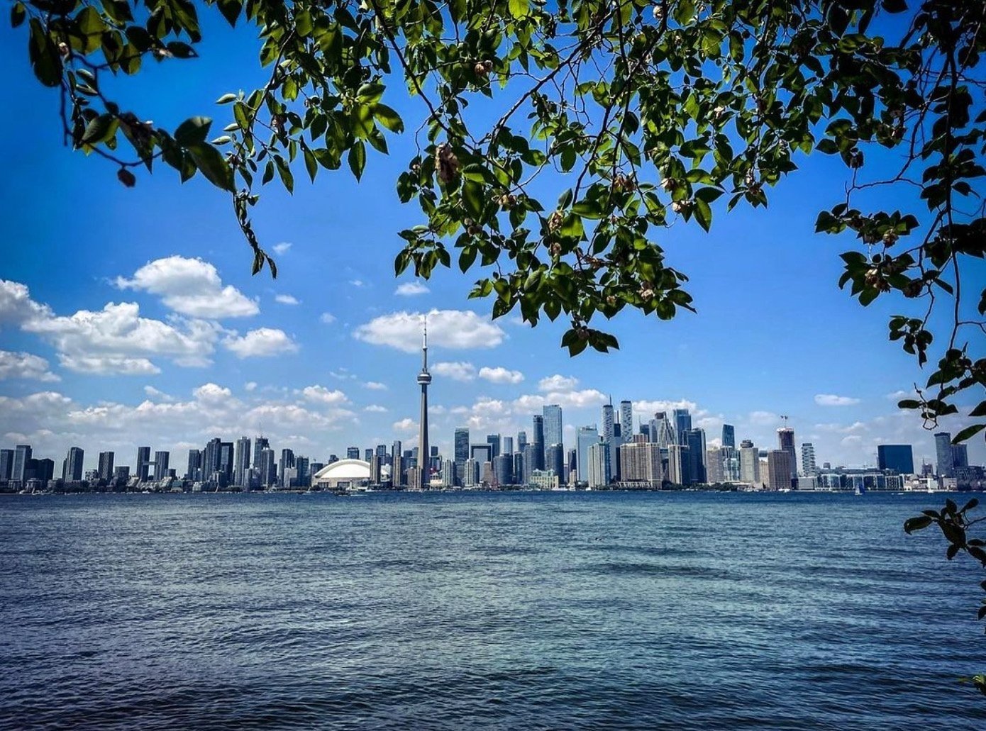 Harbourfront.jpeg