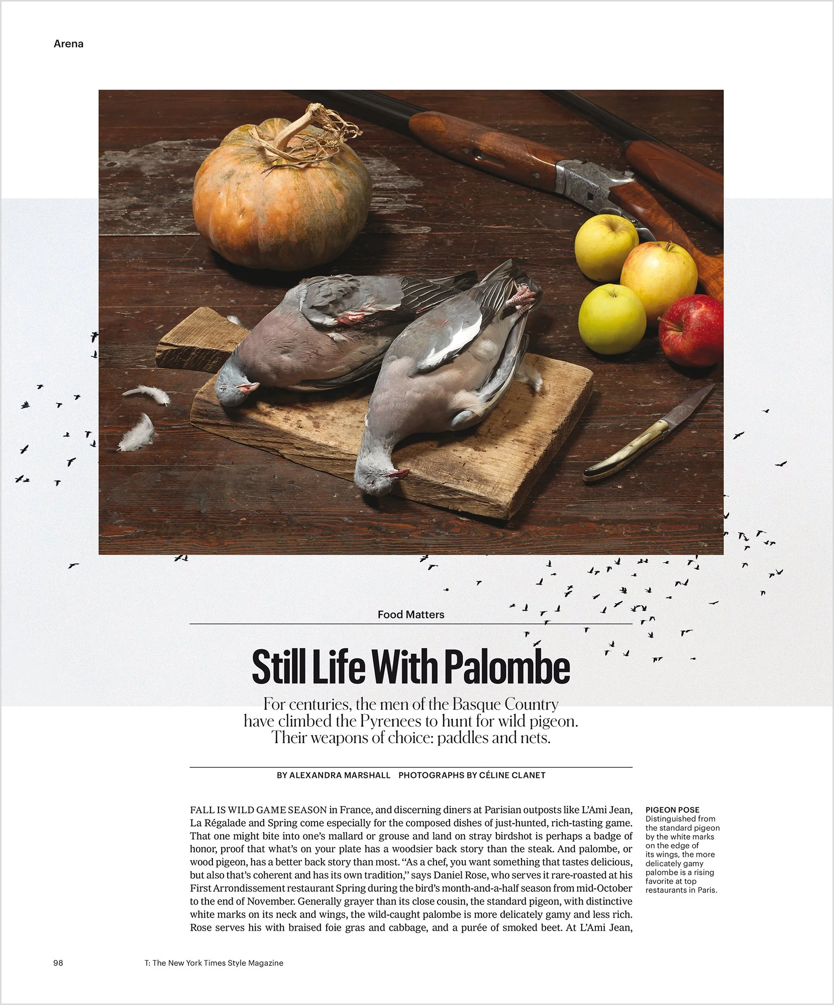 "Still life with palombe", palombe hunters from southwestern France, for THE NEW YORK TIMES