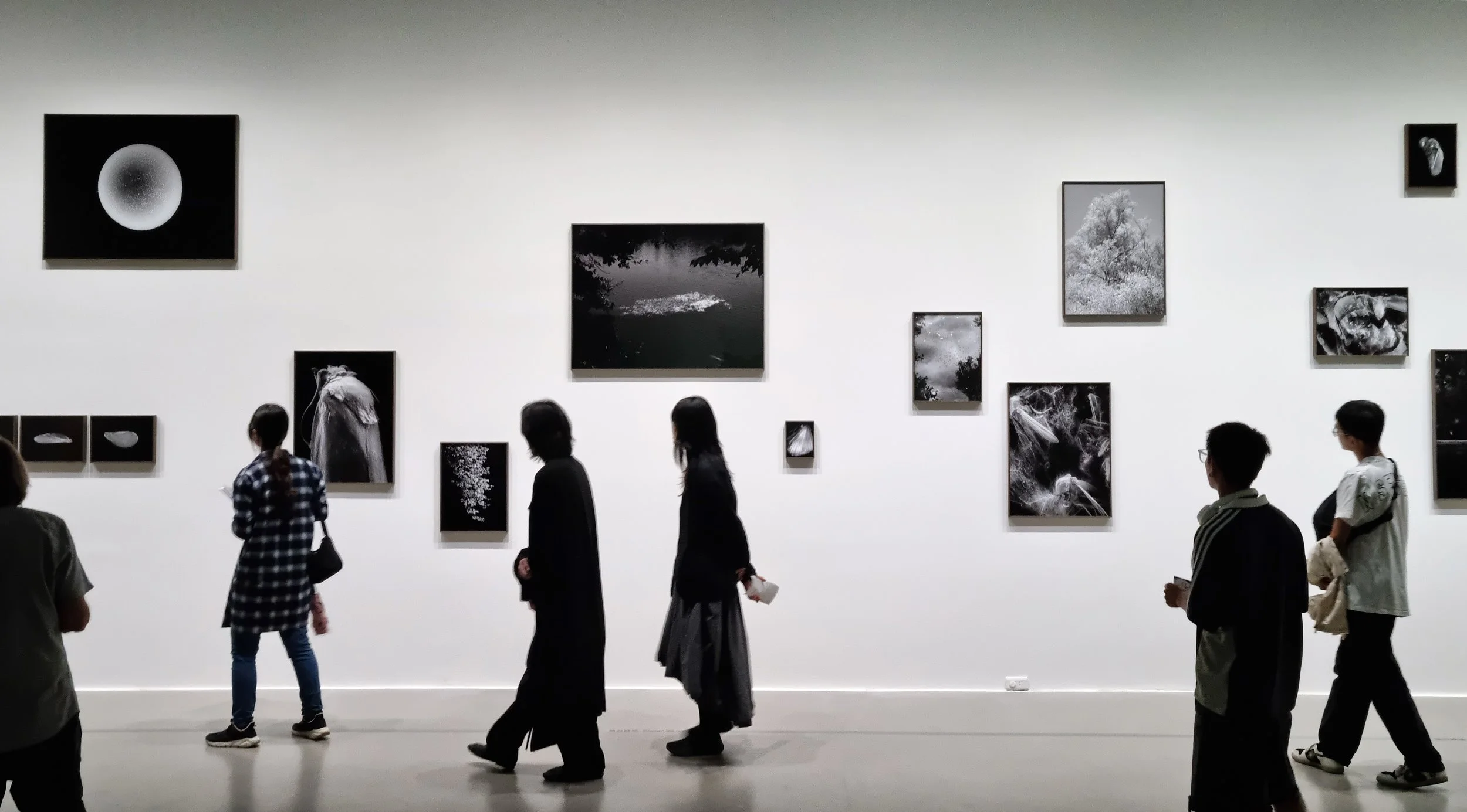"Ground Noise", in "Entanglements", Taipei Fine Arts Museum (TaIwan)
