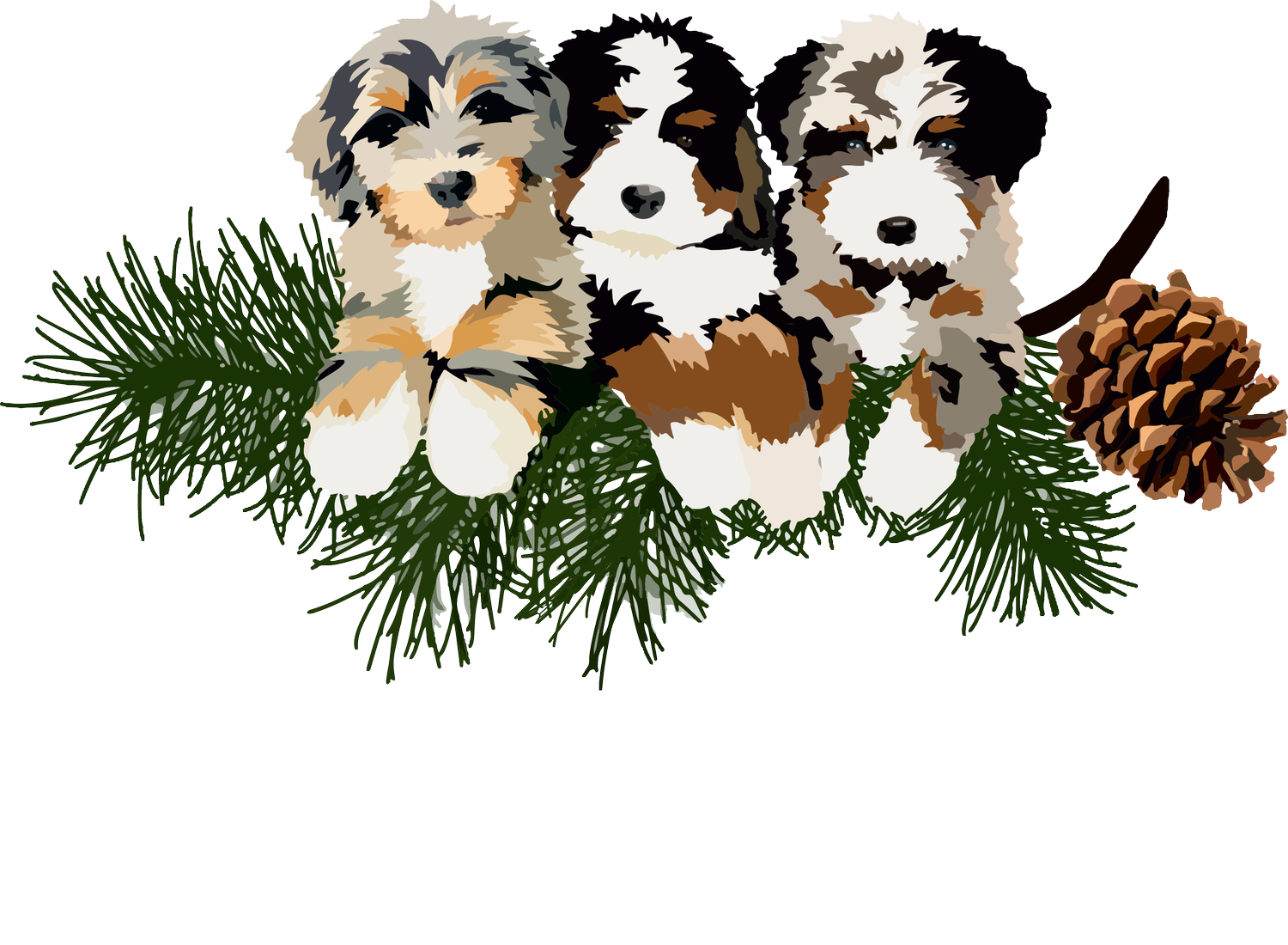 Blue Skye Doodles - Mini Bernedoodle and Australian Mountain Doodle Puppies
