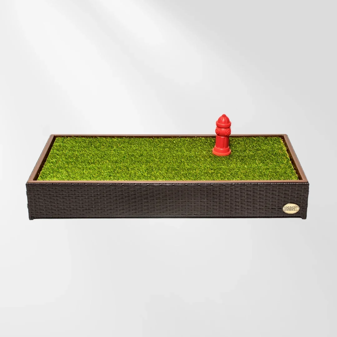 Porch Potty for Dogs