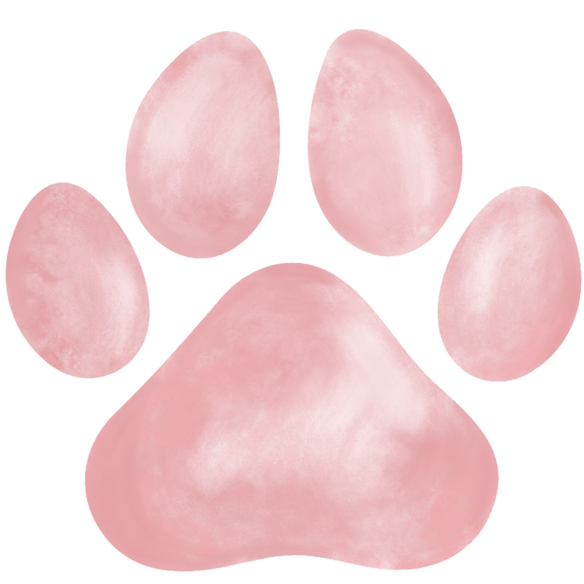 pink paw print Blue Skye Doodles