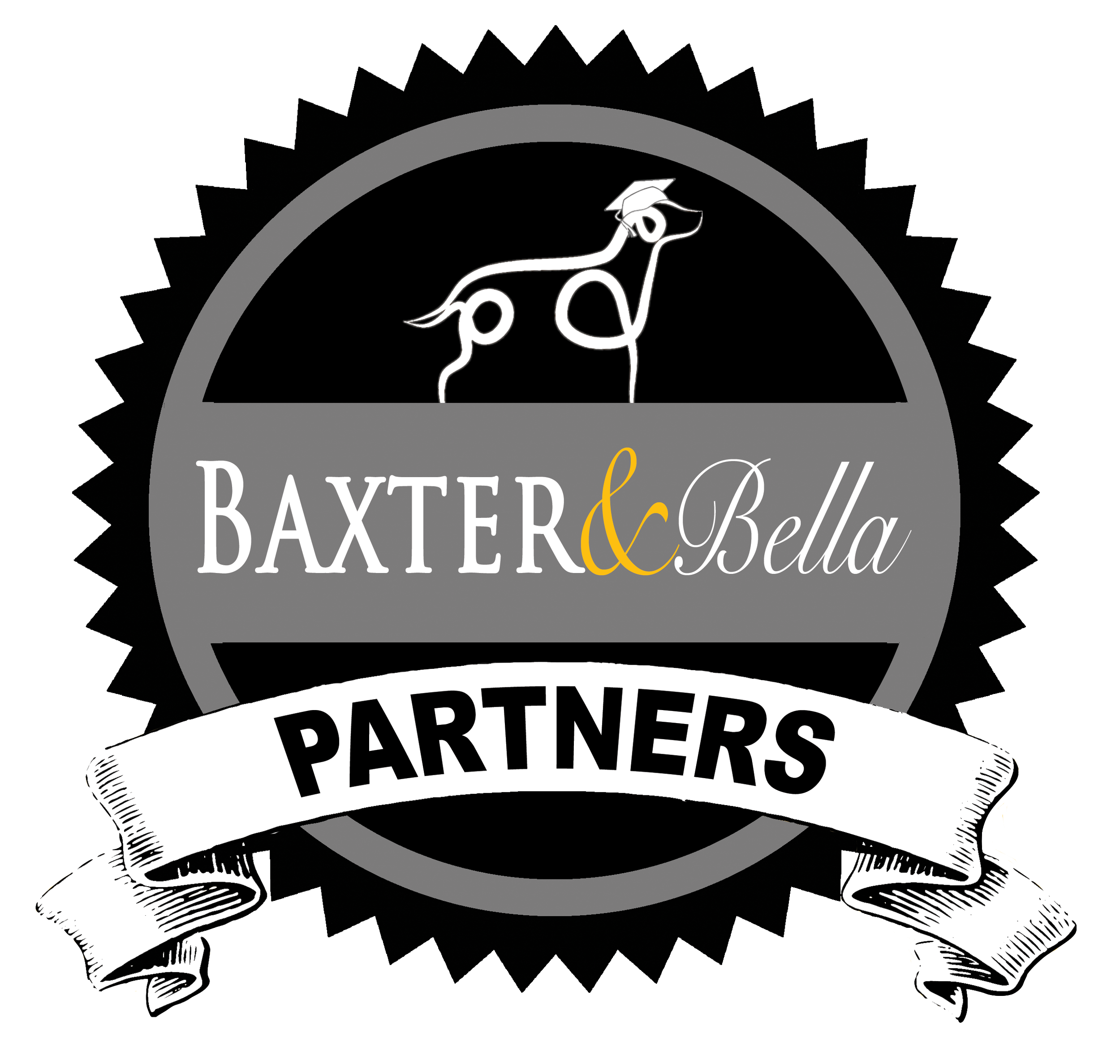 Baxter & Bella online puppy school offer for Blue Skye Doodles