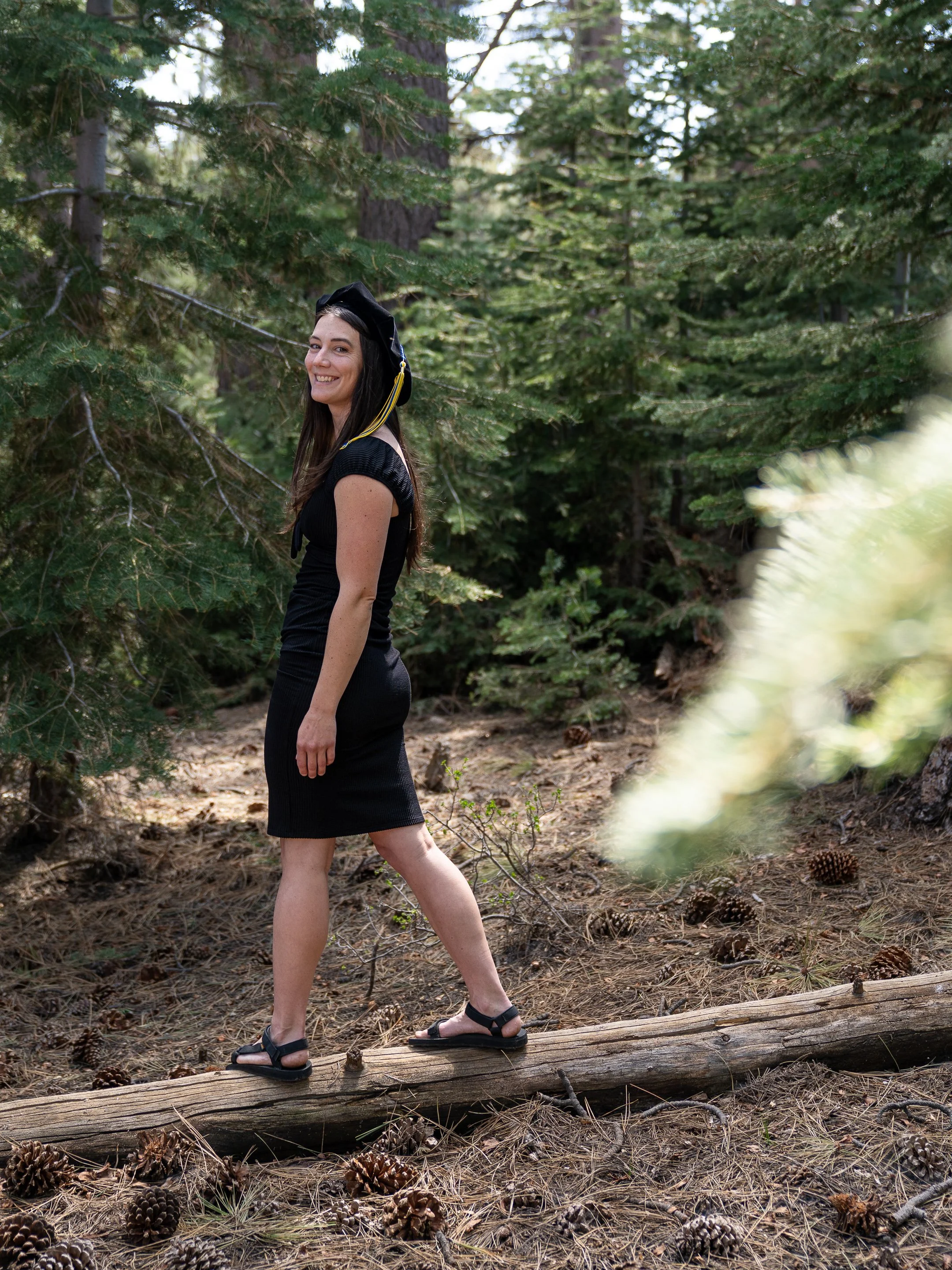 A woman in a black dress standing on a fallen log in a forest surrounded by pine trees and pinecones.