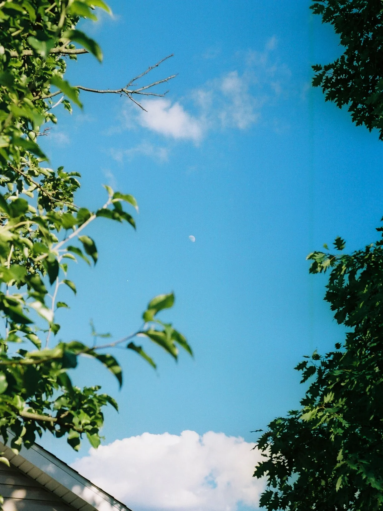 3882220_3882220-R1-051-24.jpg
