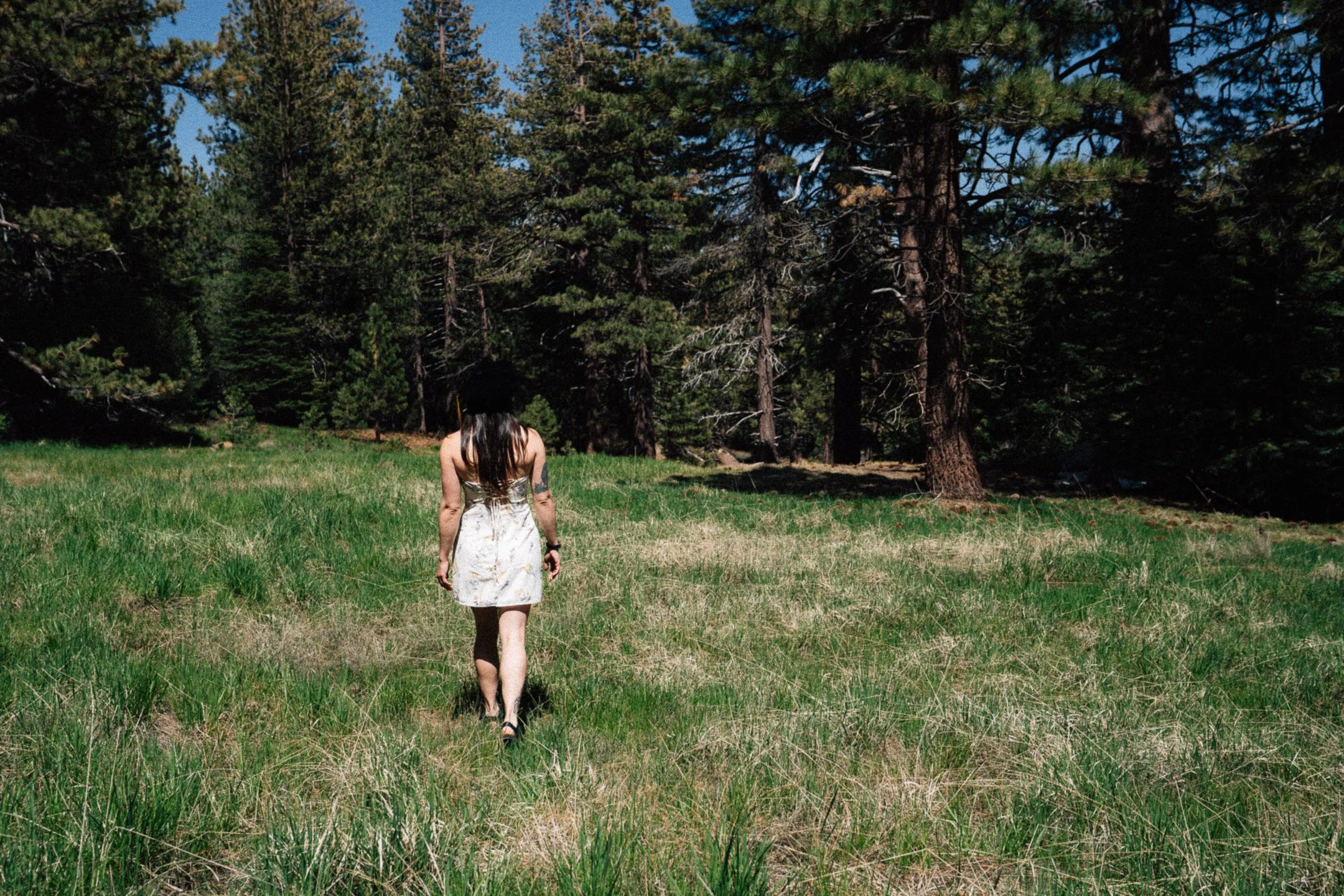 A woman with long dark hair wearing a white dress walking away in a grassy field surrounded by tall trees under a clear blue sky.