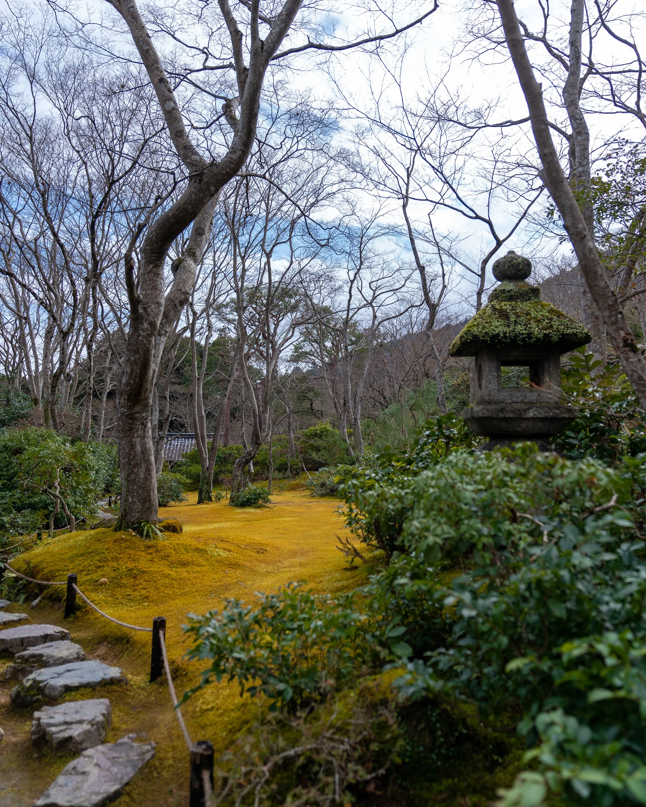 A traditional Japanese garden with leafless trees, green shrubs, moss-covered ground, stone lantern, and stone pathway.