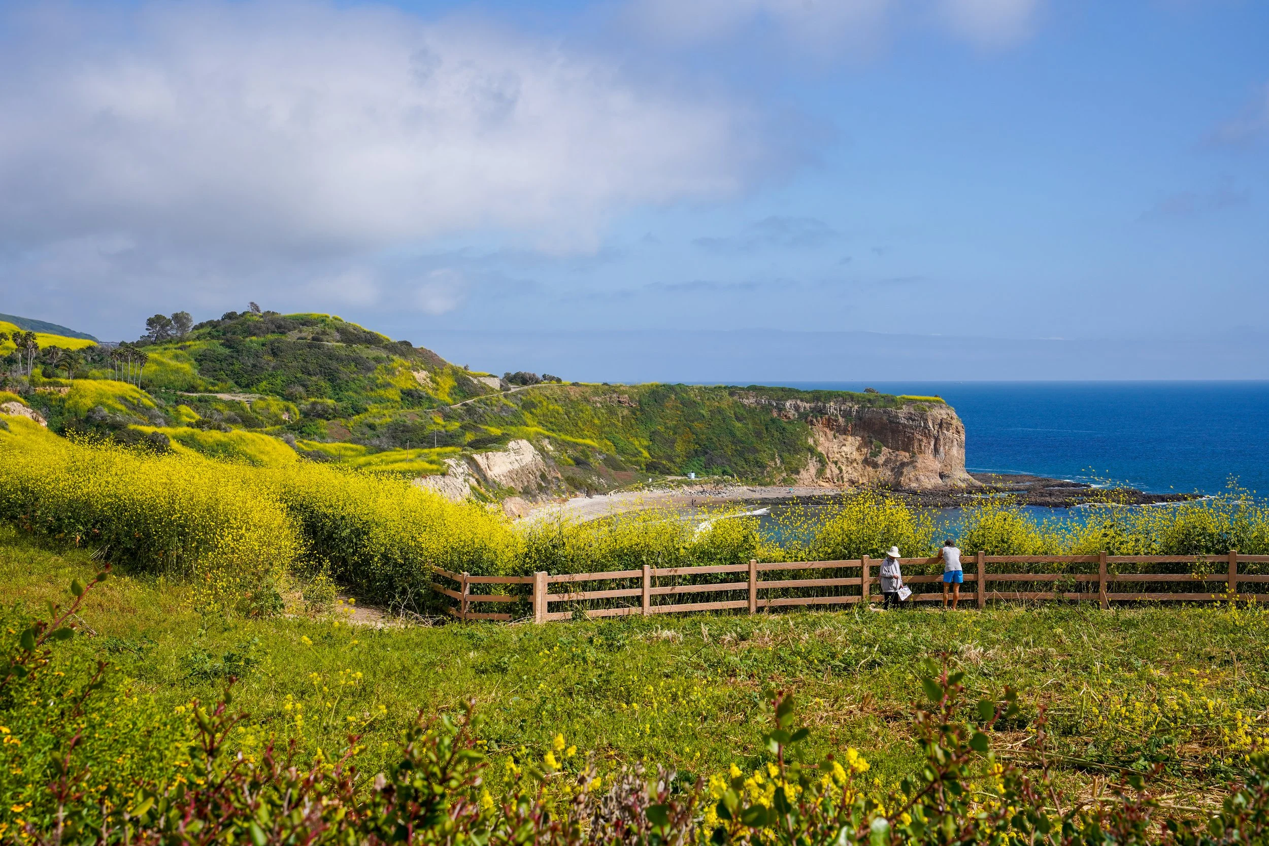 Scenic view of green hills and cliffs by the ocean, with a wooden fence and two people enjoying the landscape under partly cloudy skies.