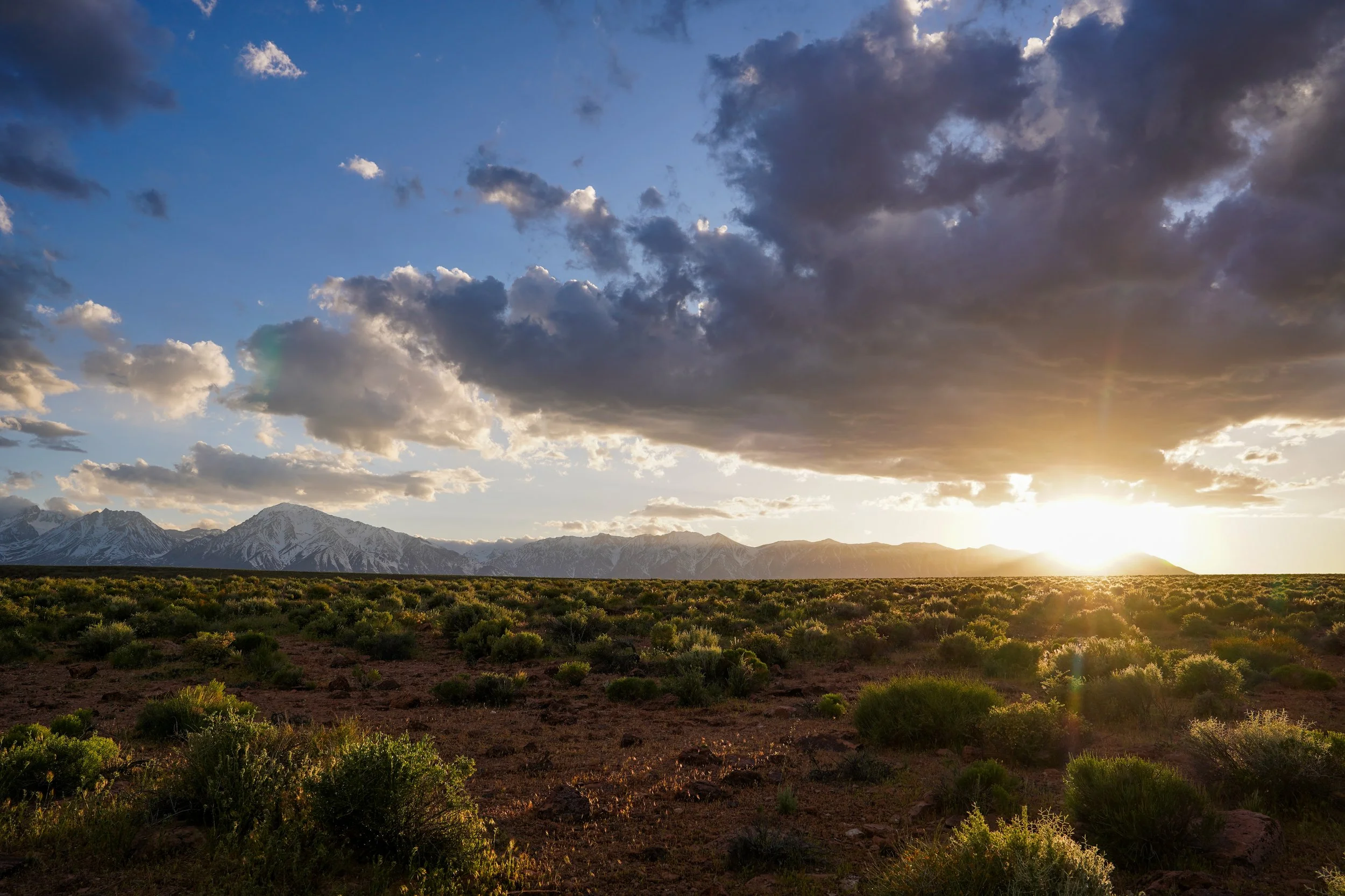 Sunset over a vast open landscape with green shrubs, snow-capped mountains in the background, and dramatic clouds in the sky.