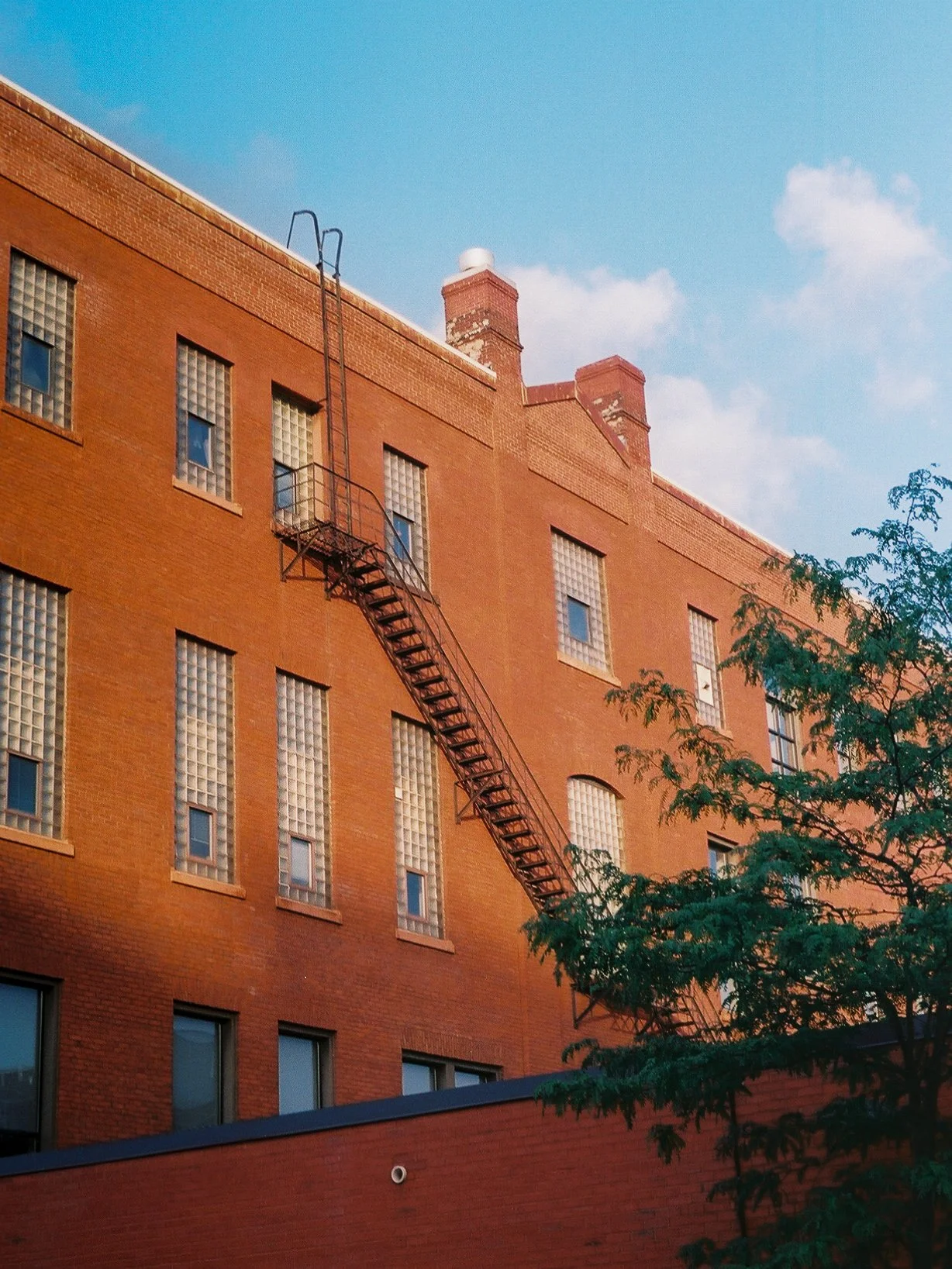 3884970_3884970-R1-011-4.jpg