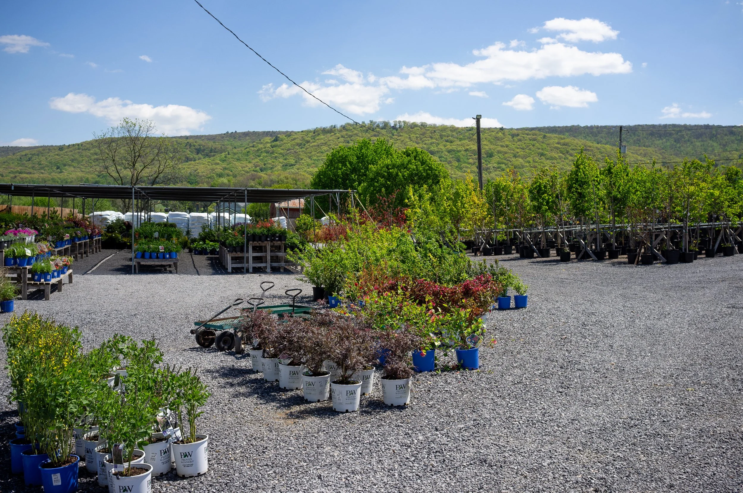 DSCF6250.jpg