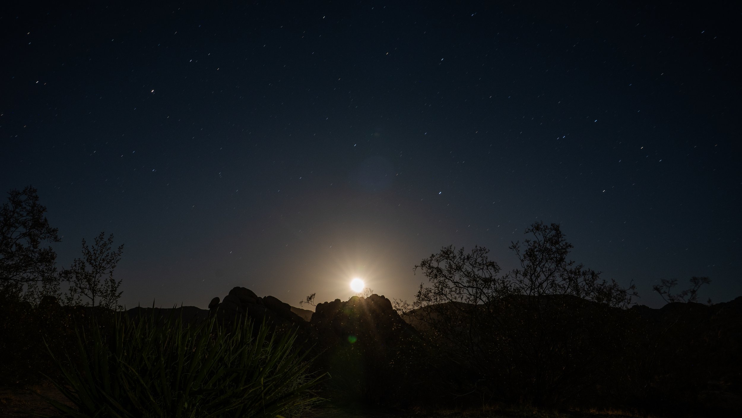 Nighttime desert landscape with a bright moon rising behind rocky formations and sparse trees, stars visible in the dark sky.