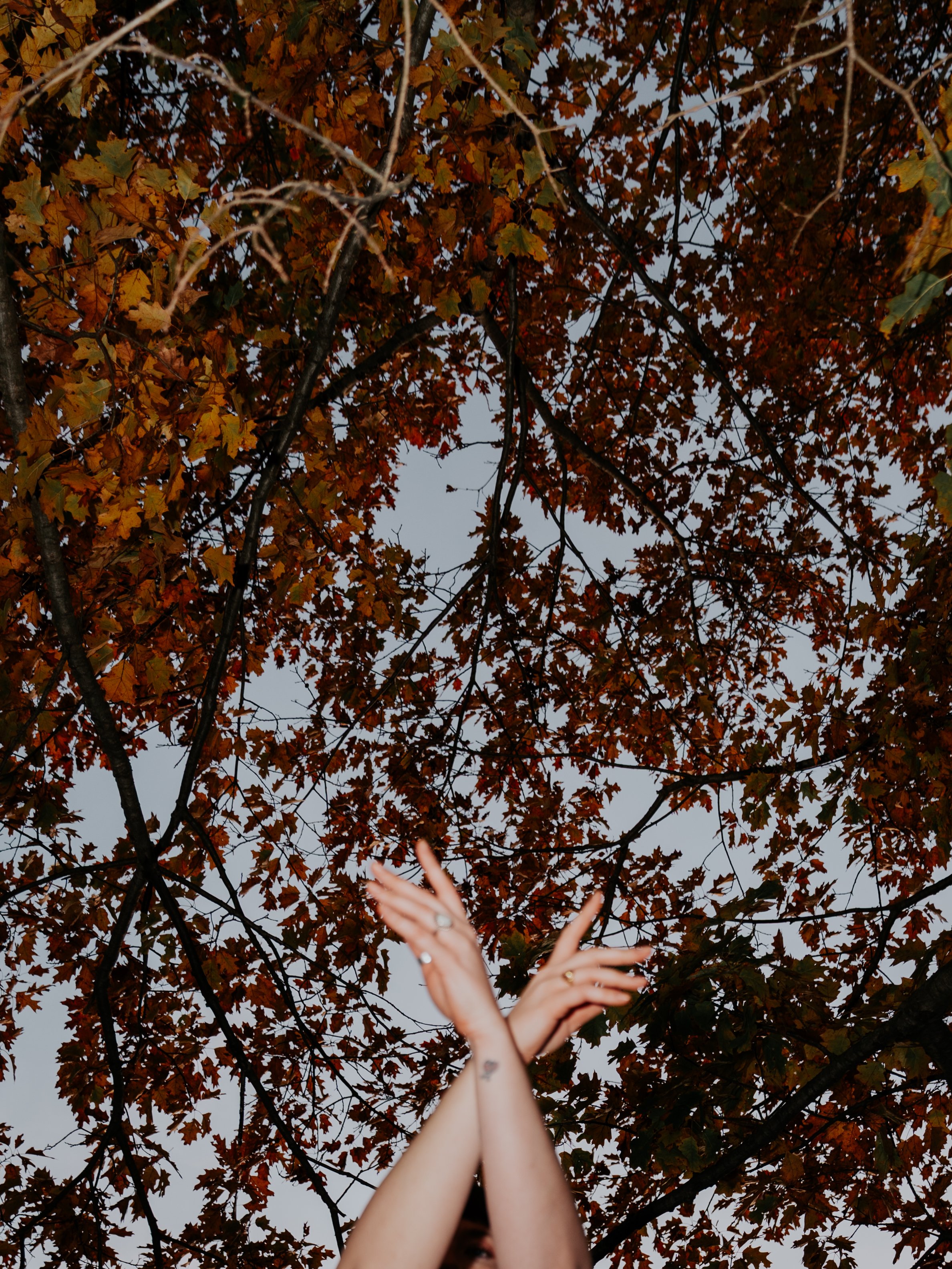 Person's arms and hands raised with crossed wrists in front of a tree with orange and brown autumn leaves, against a cloudy sky.