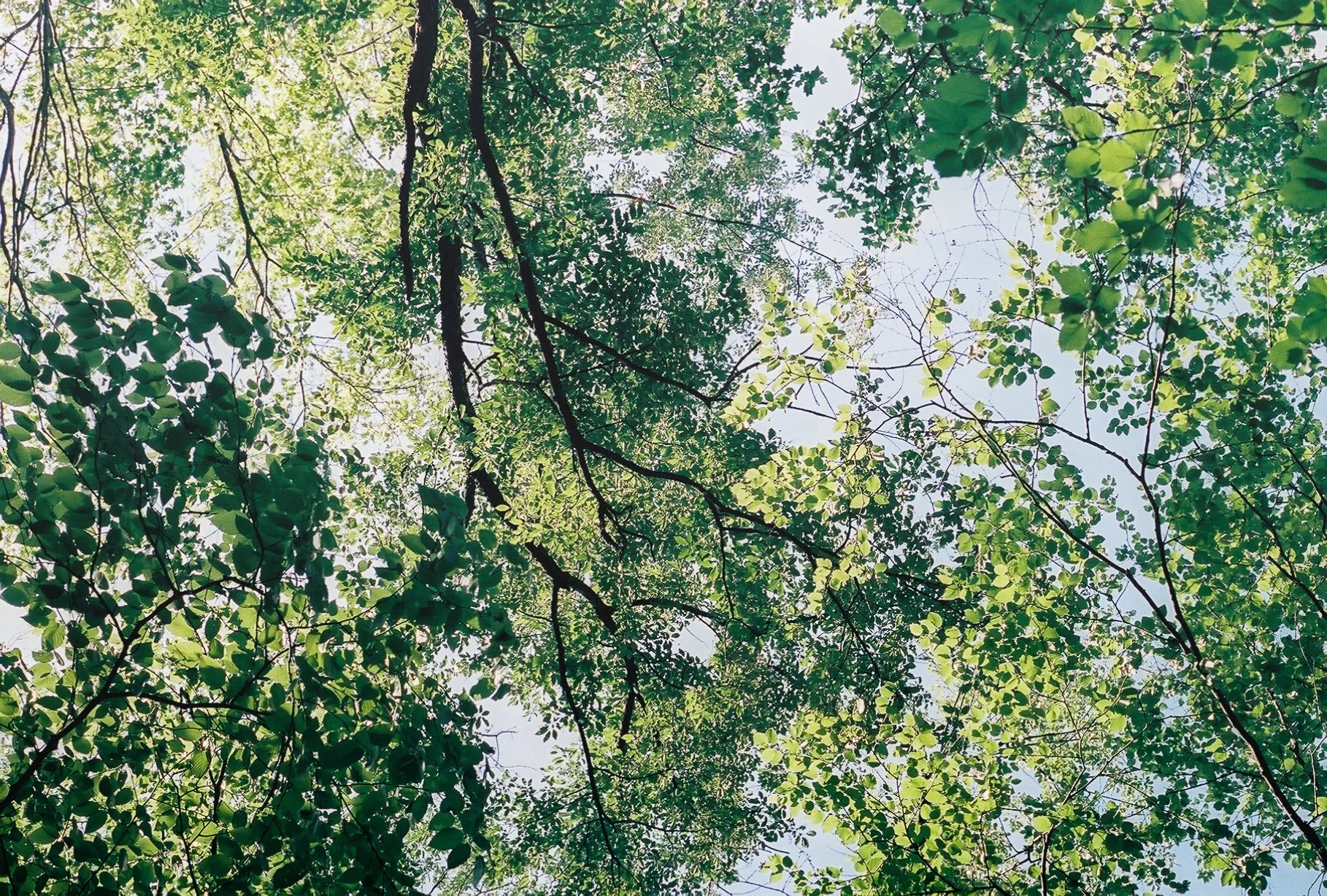 3880090_3880090-R1-017-7.jpg