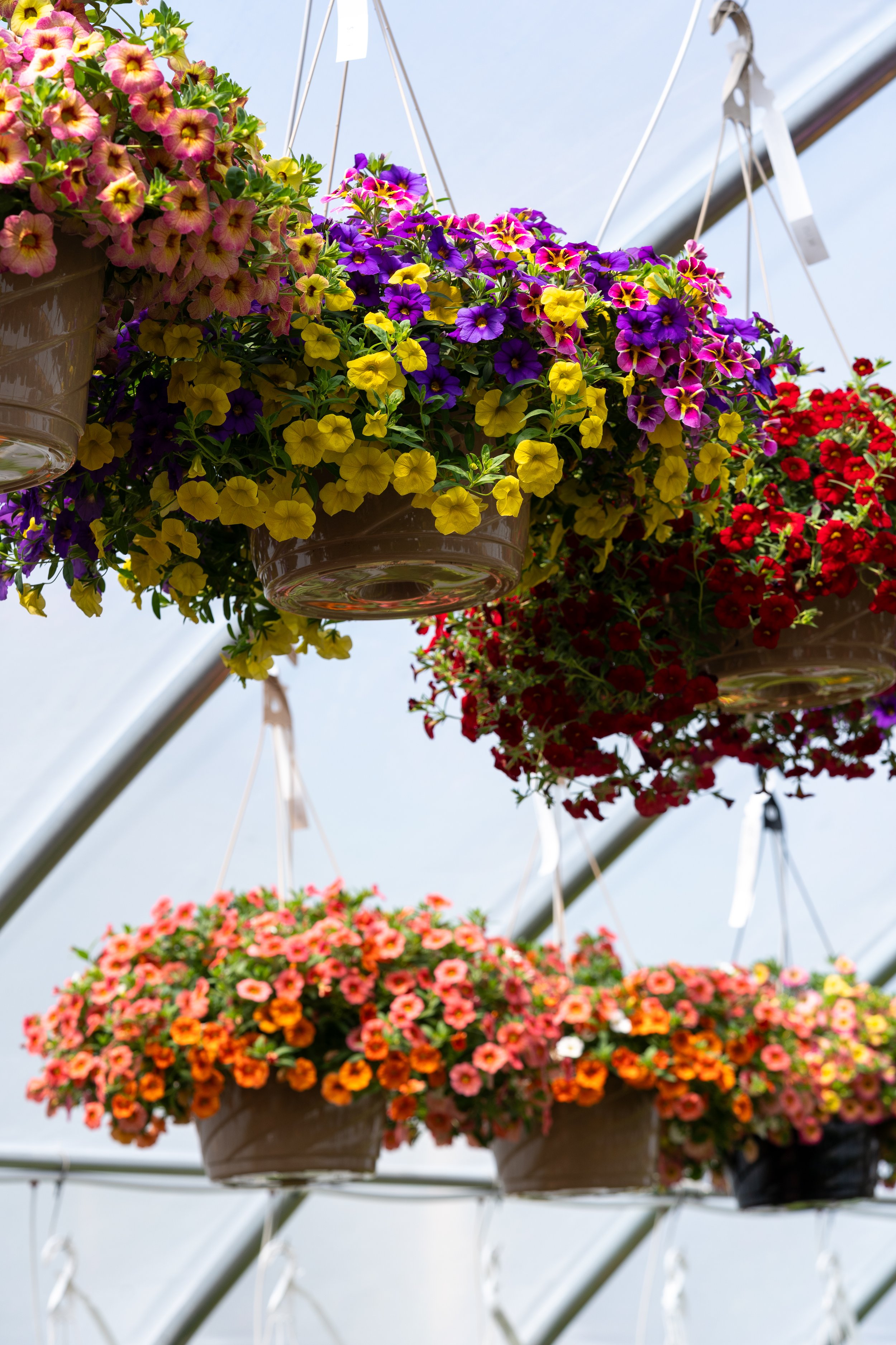 DSC09987.jpg