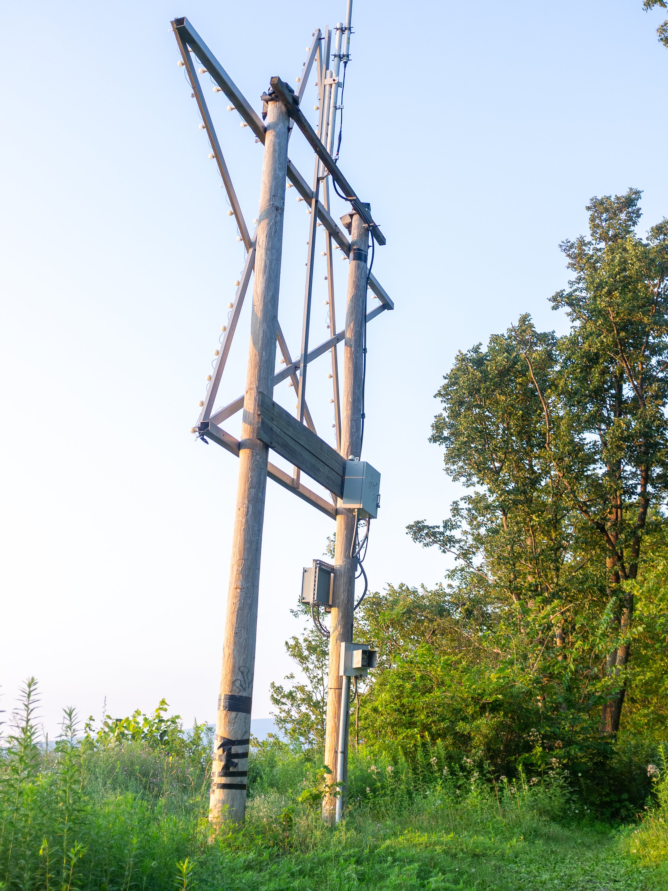 Wooden utility pole with electrical and communication equipment, surrounded by green grass and trees, under a clear sky.