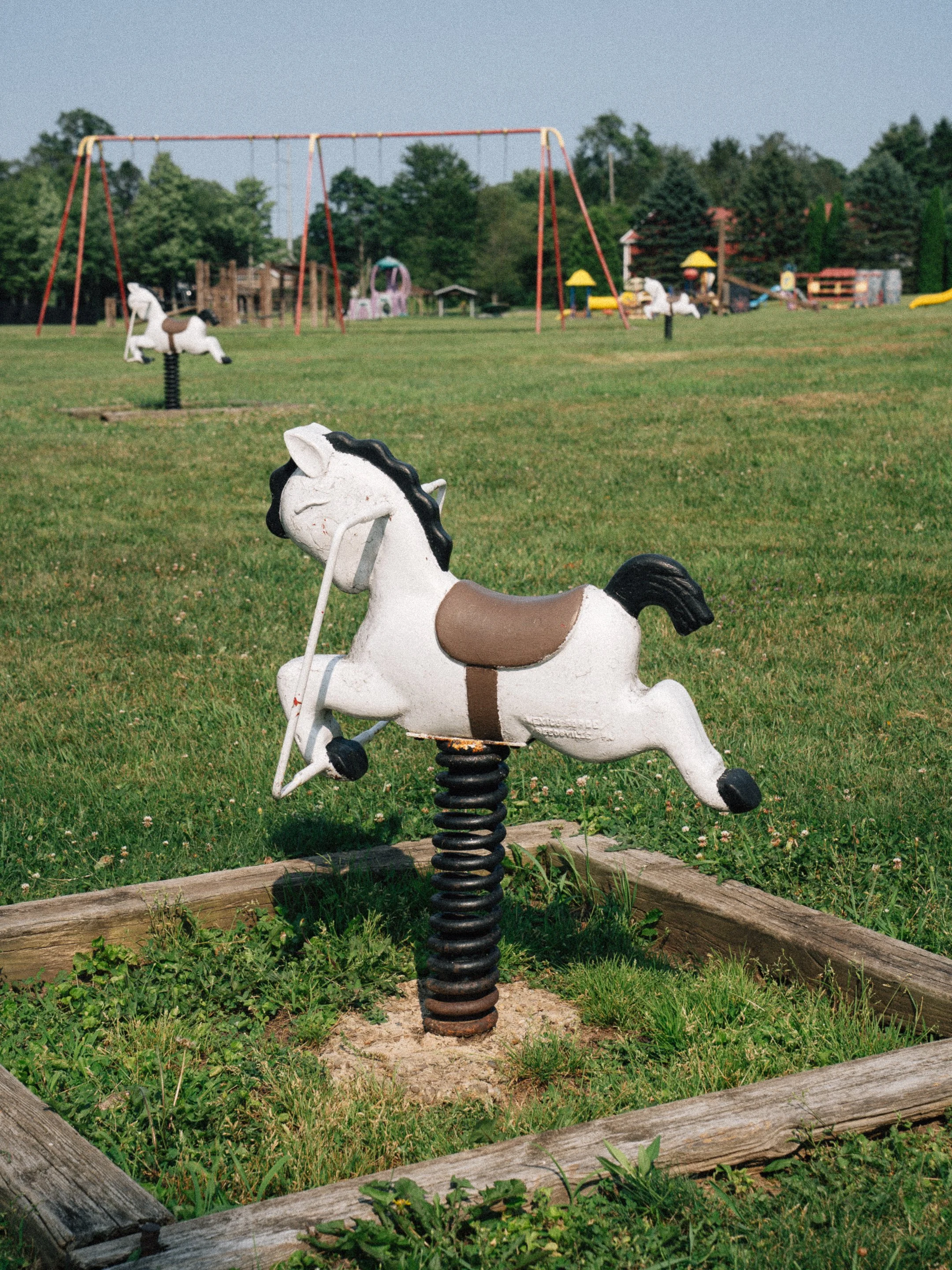 DSC02875.jpg