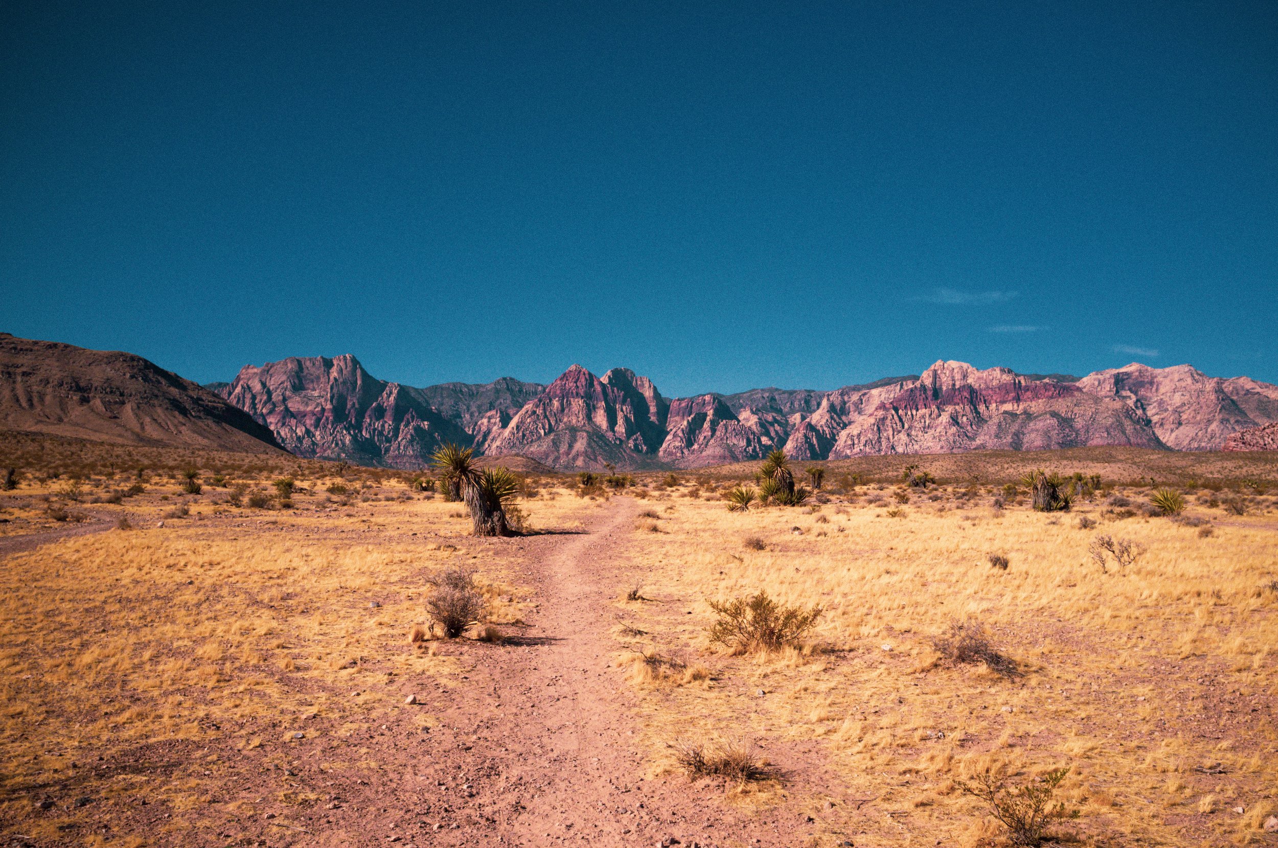 A desert landscape with a dirt path, sparse vegetation, and mountains in the background under a clear blue sky.