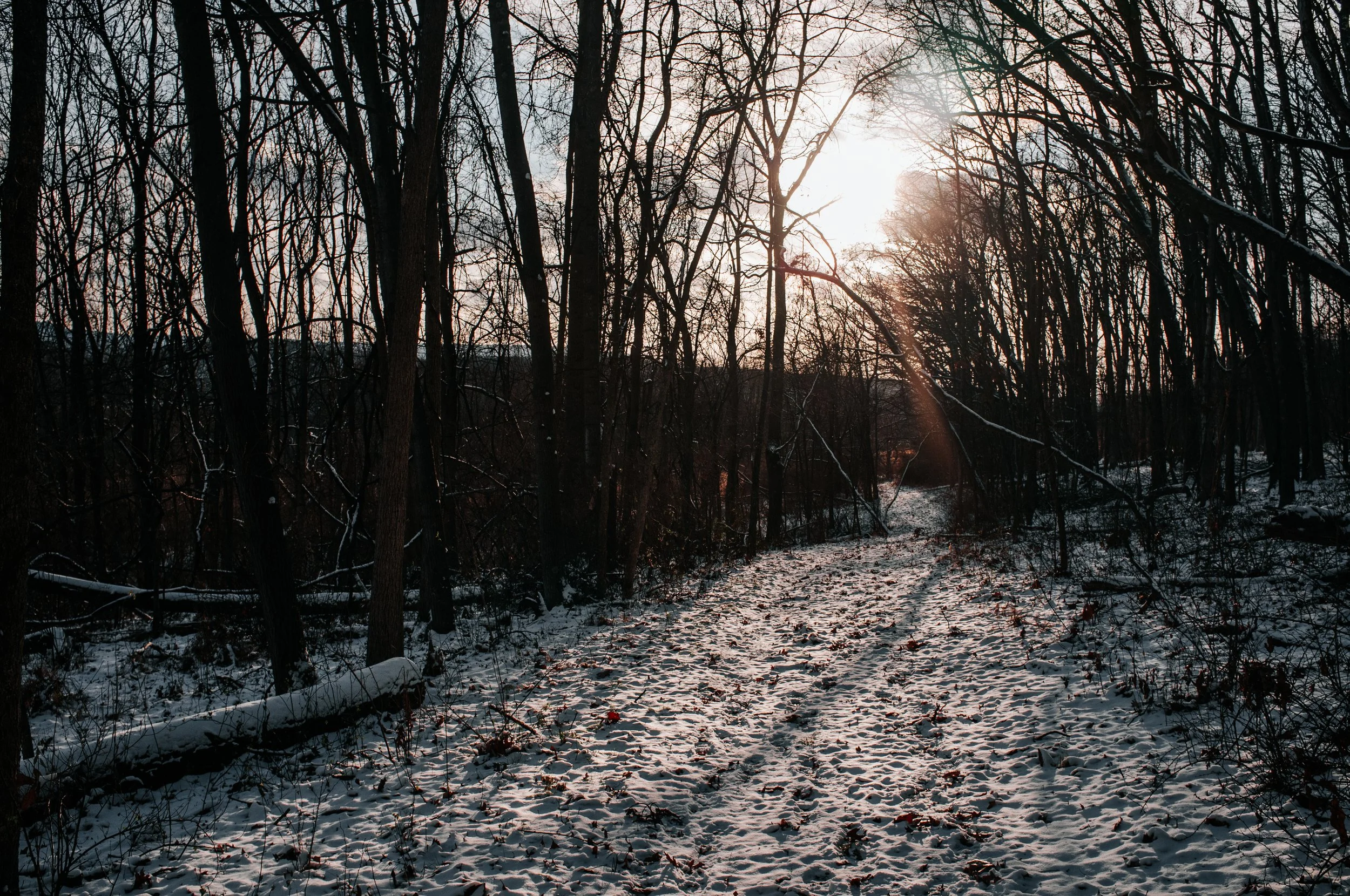A snowy forest trail during sunset with leafless trees and a faint snow-covered path.