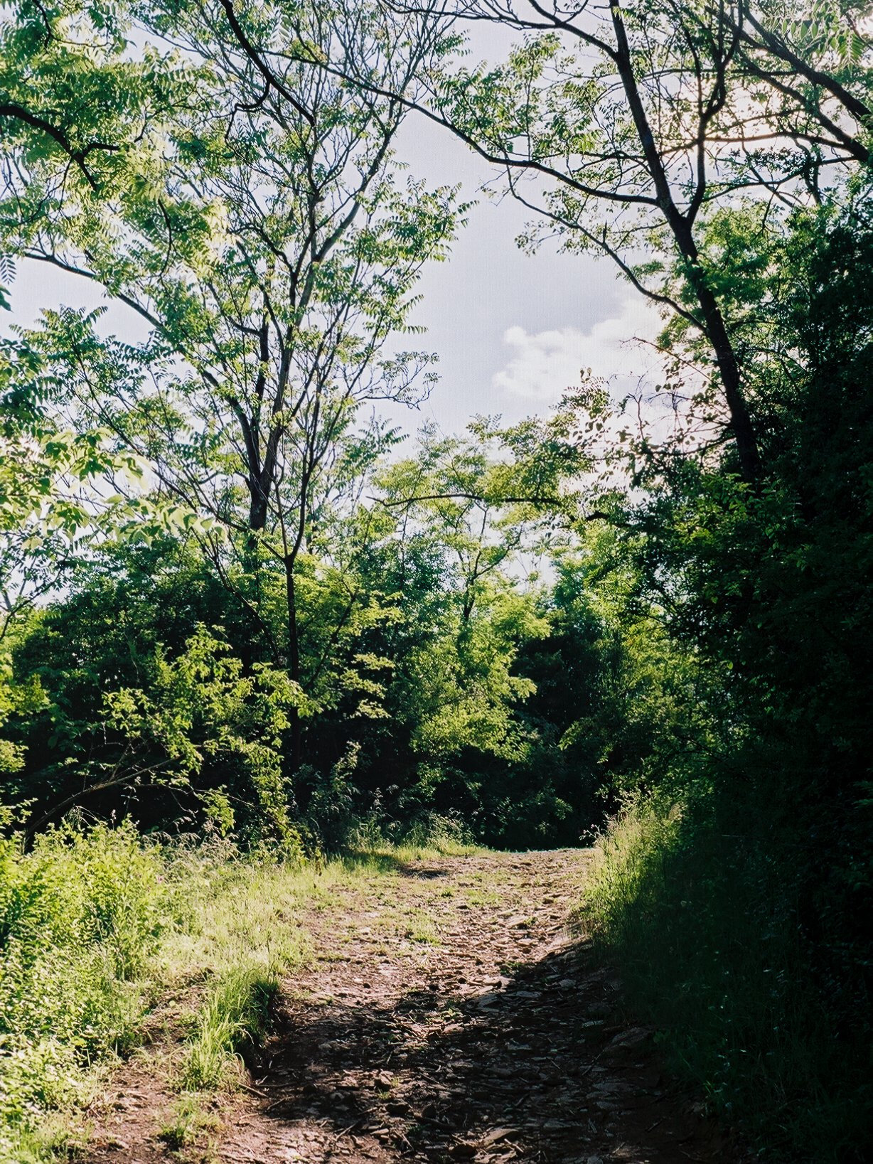 3882220_3882220-R1-007-2.jpg