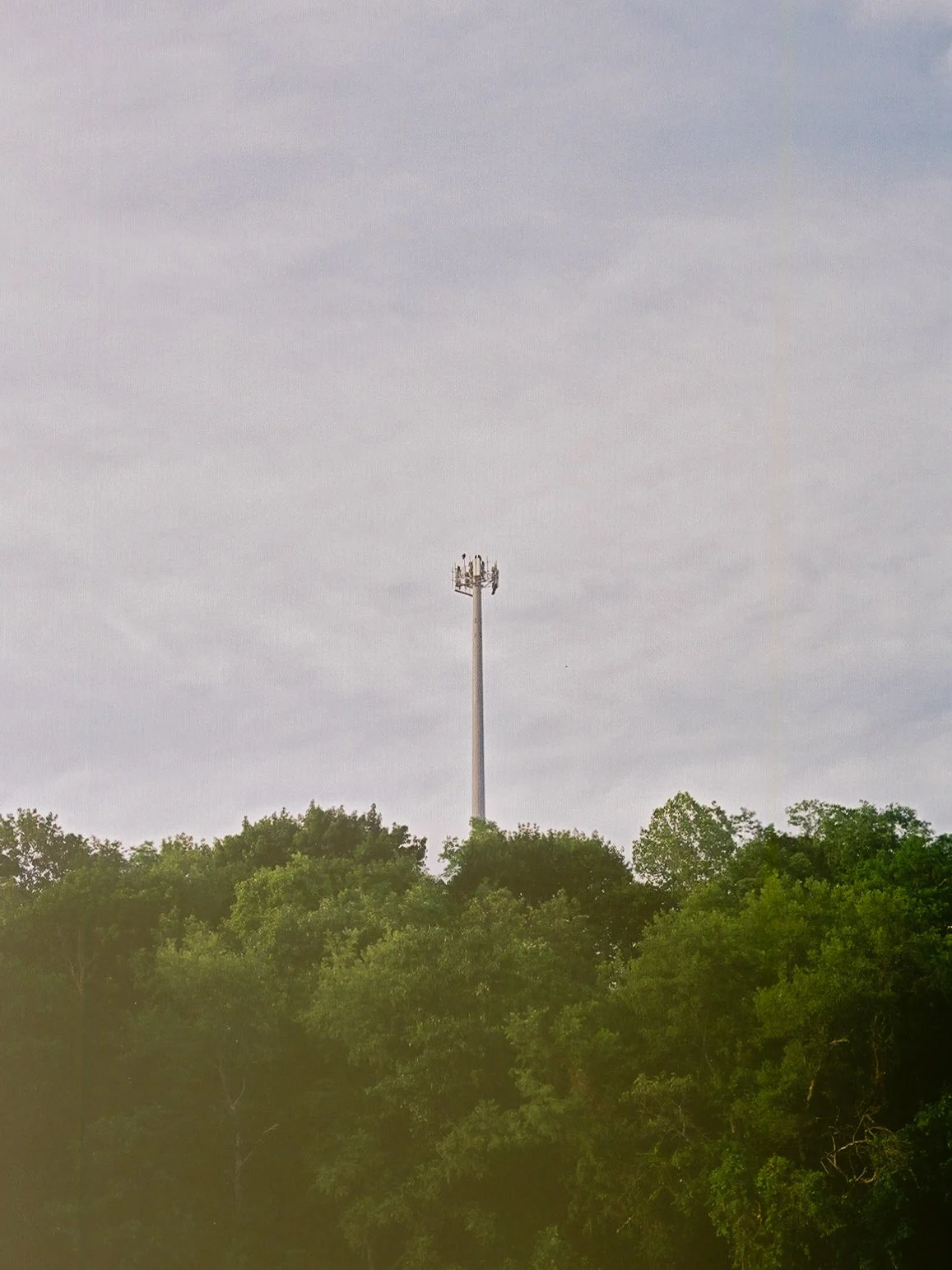 3882220_3882220-R1-041-19.jpg