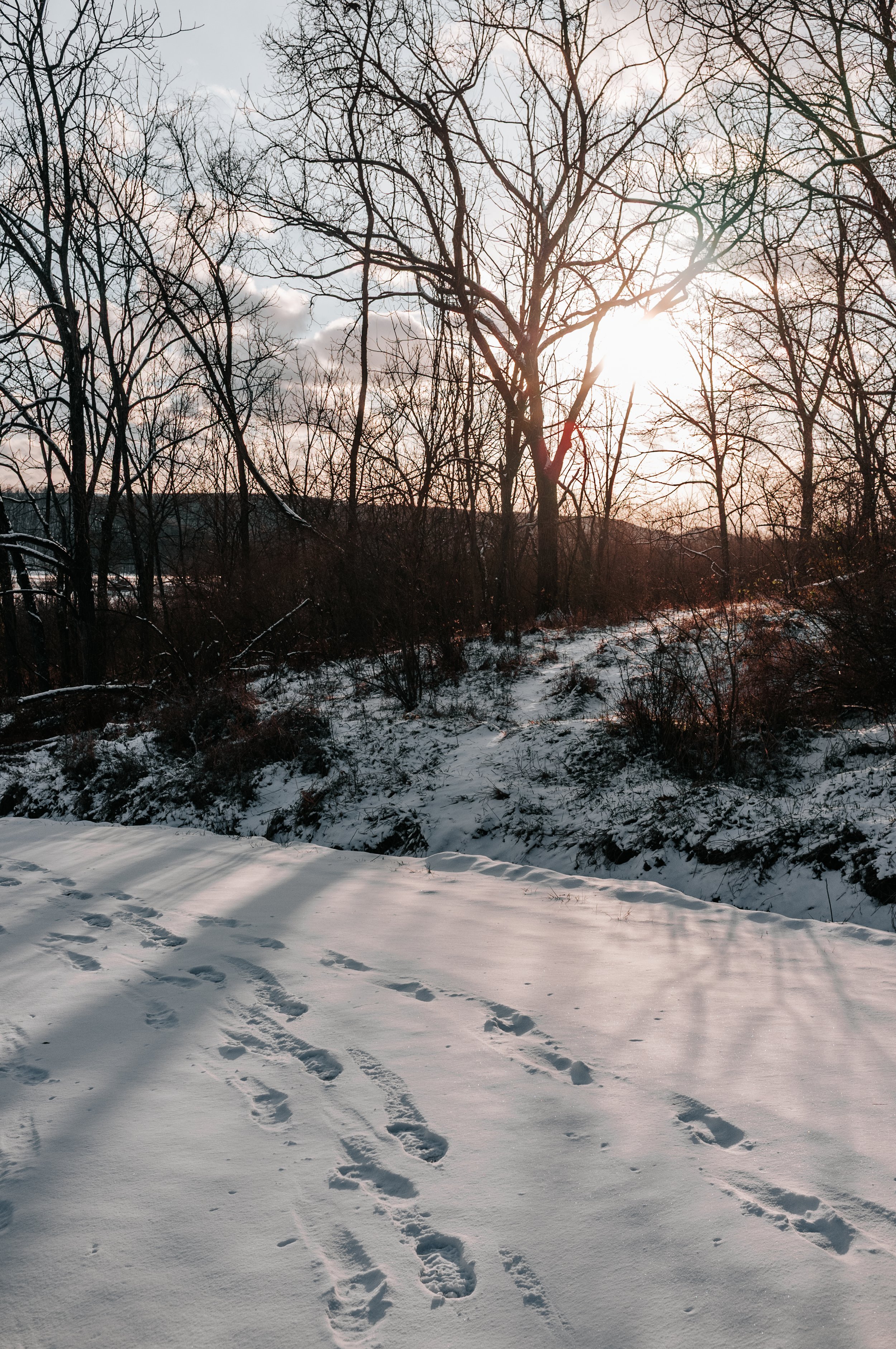 Snow-covered ground with footprints, leafless trees, and the sun setting behind clouds in a winter landscape.
