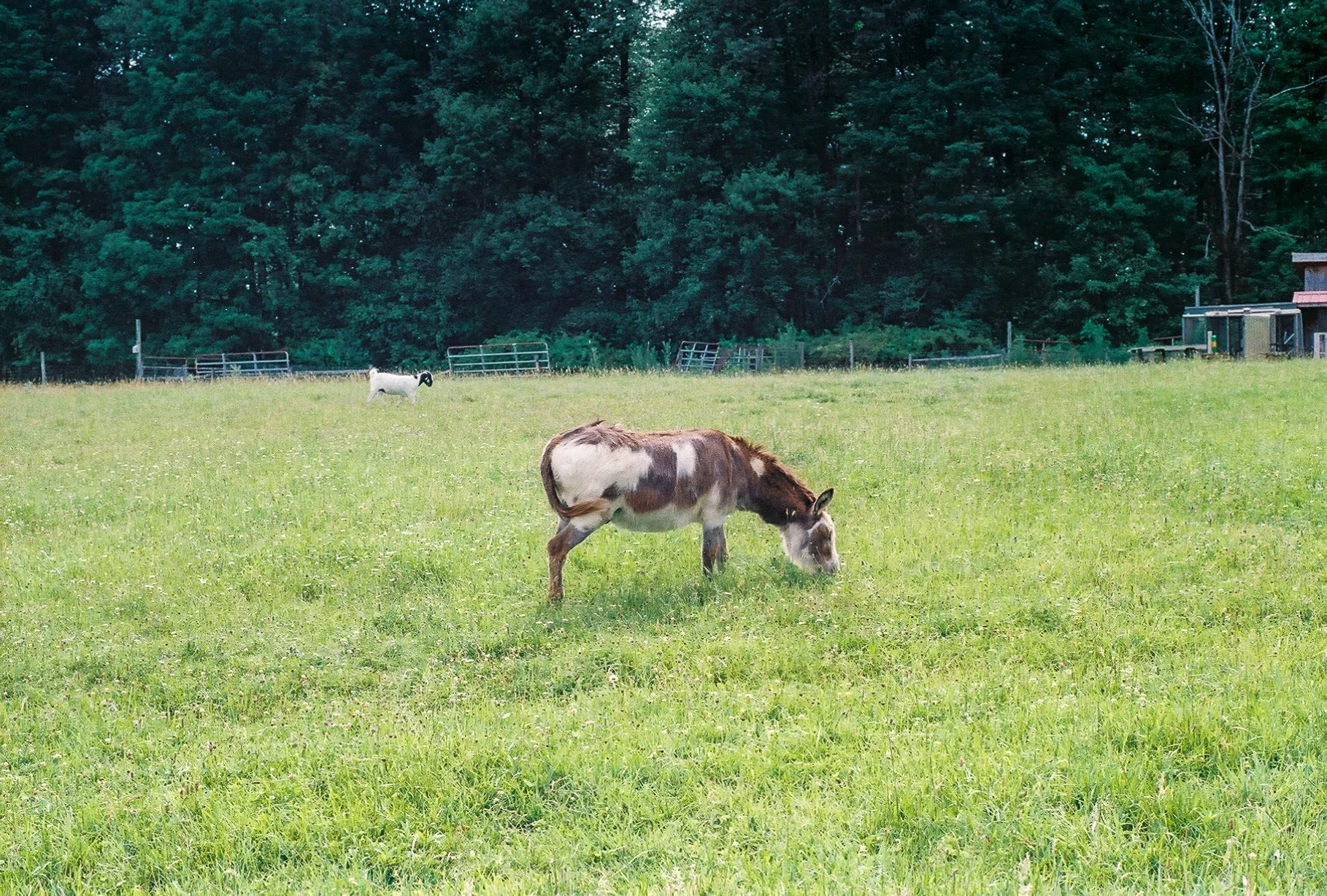 3884970_3884970-R1-043-20.jpg