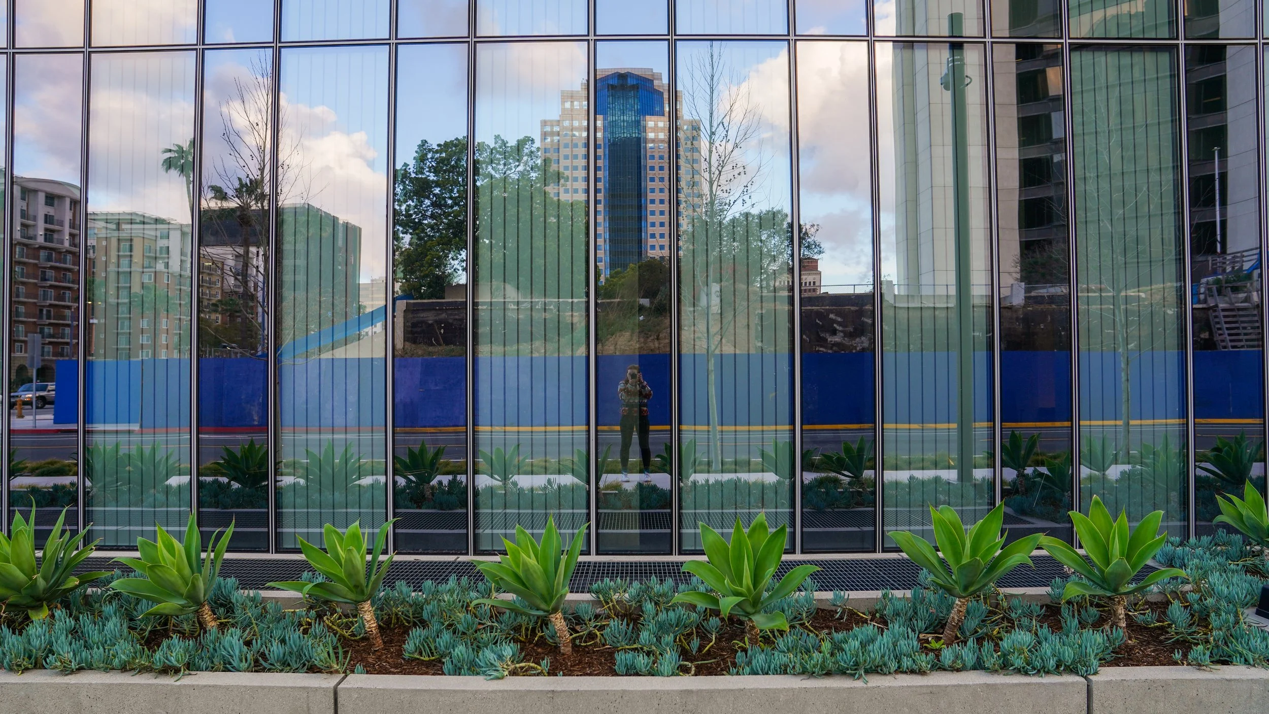 Reflection of a person taking a photo in the glass window of a building with plants in front.