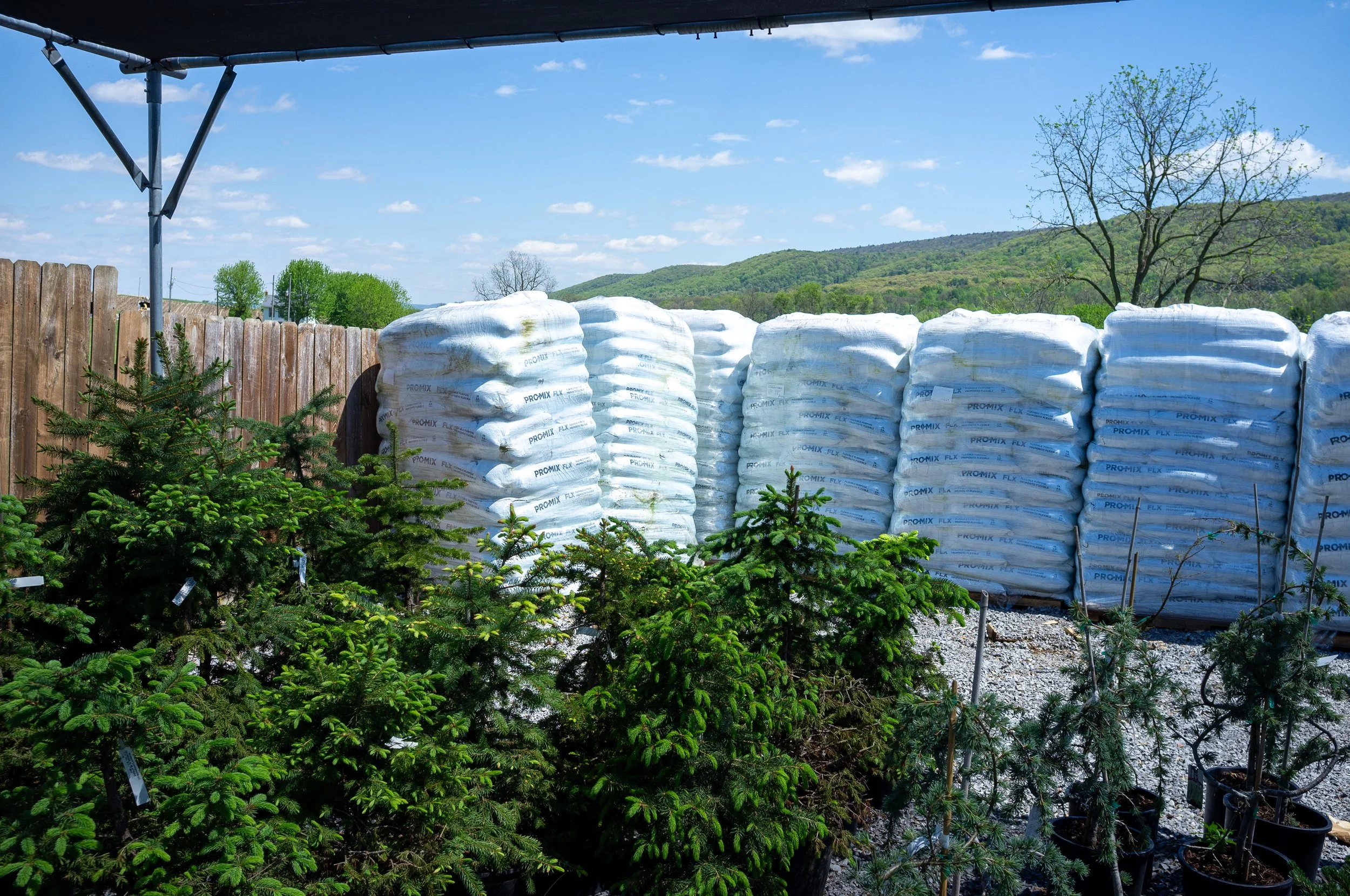 DSCF6263.jpg