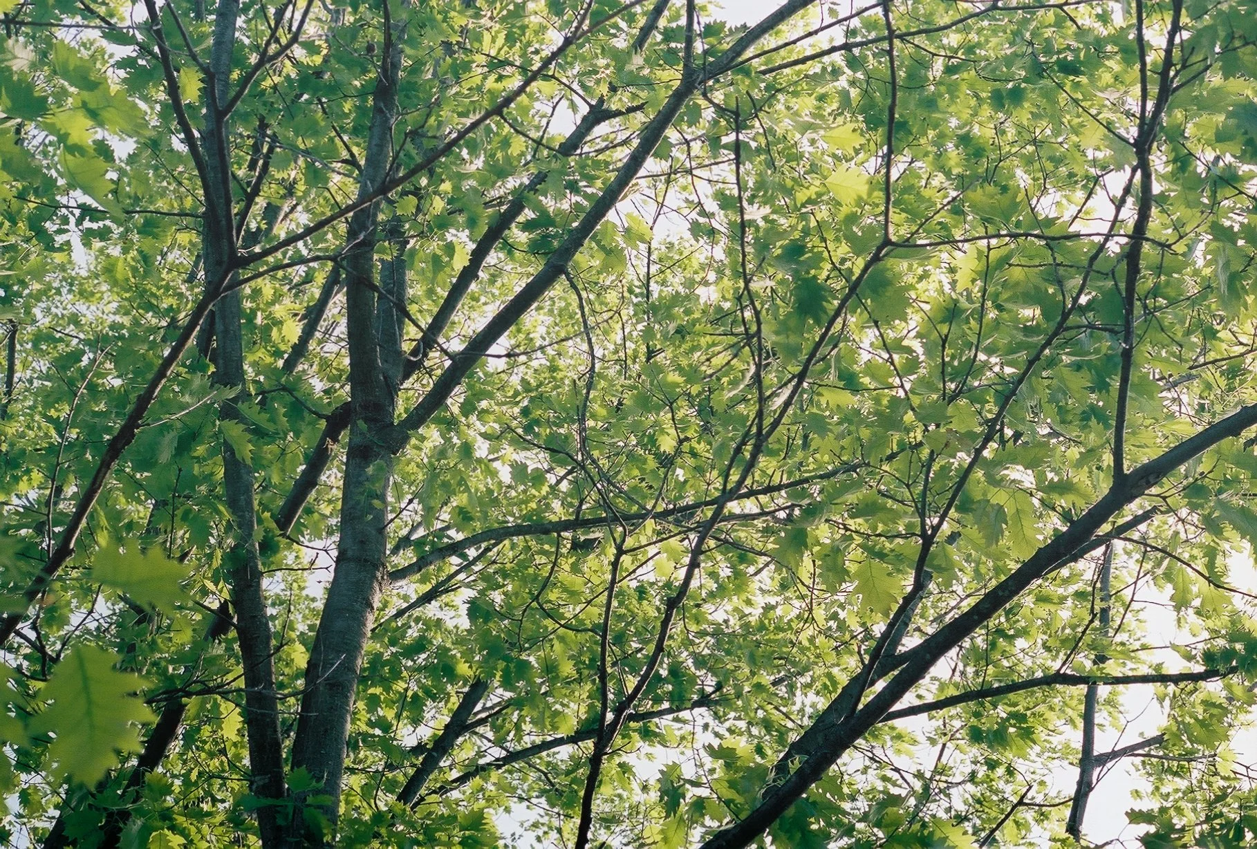 3880090_3880090-R1-005-1.jpg