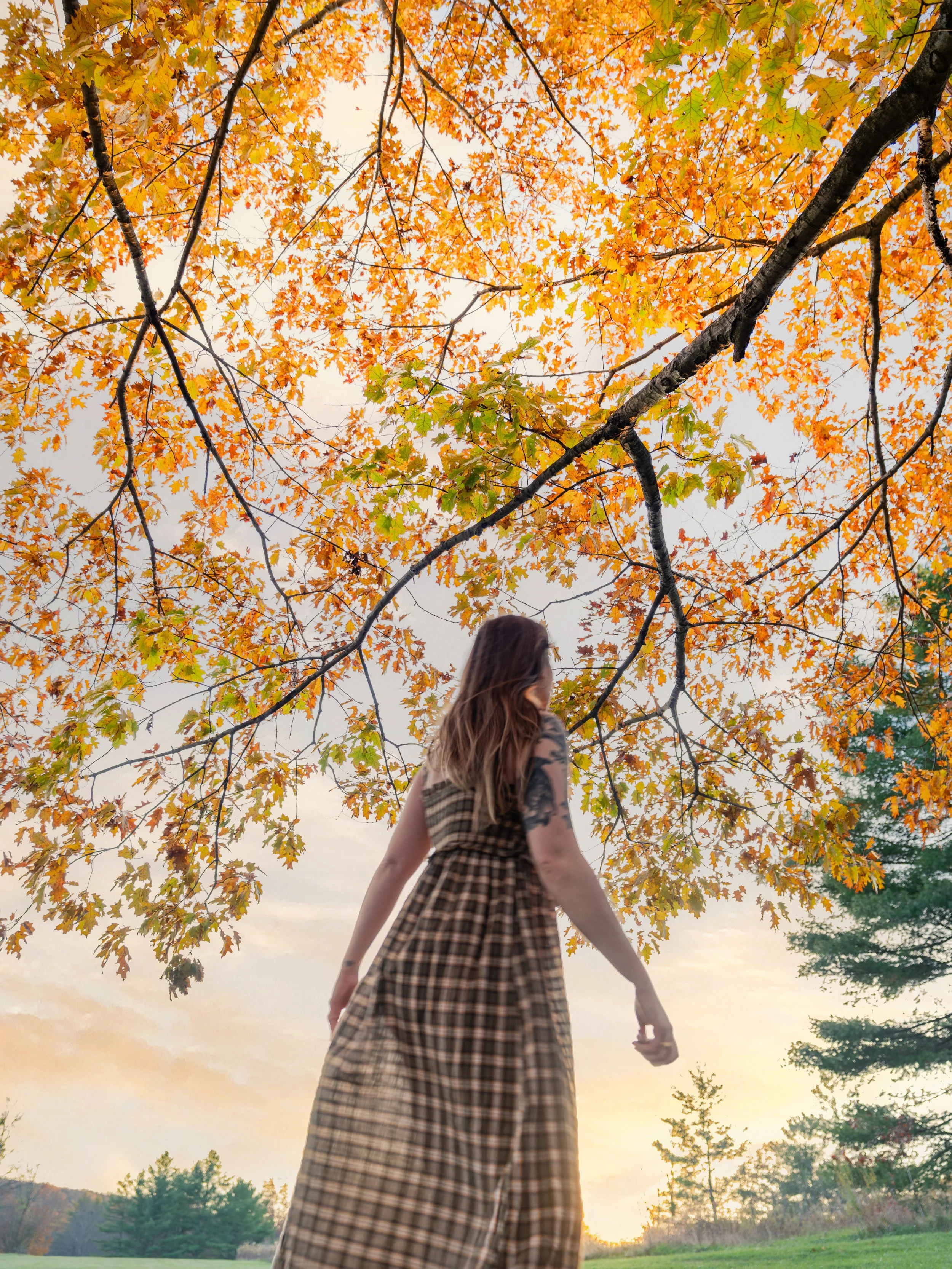 A woman wearing a plaid dress standing outdoors under a large tree with orange and yellow autumn leaves, during sunset.
