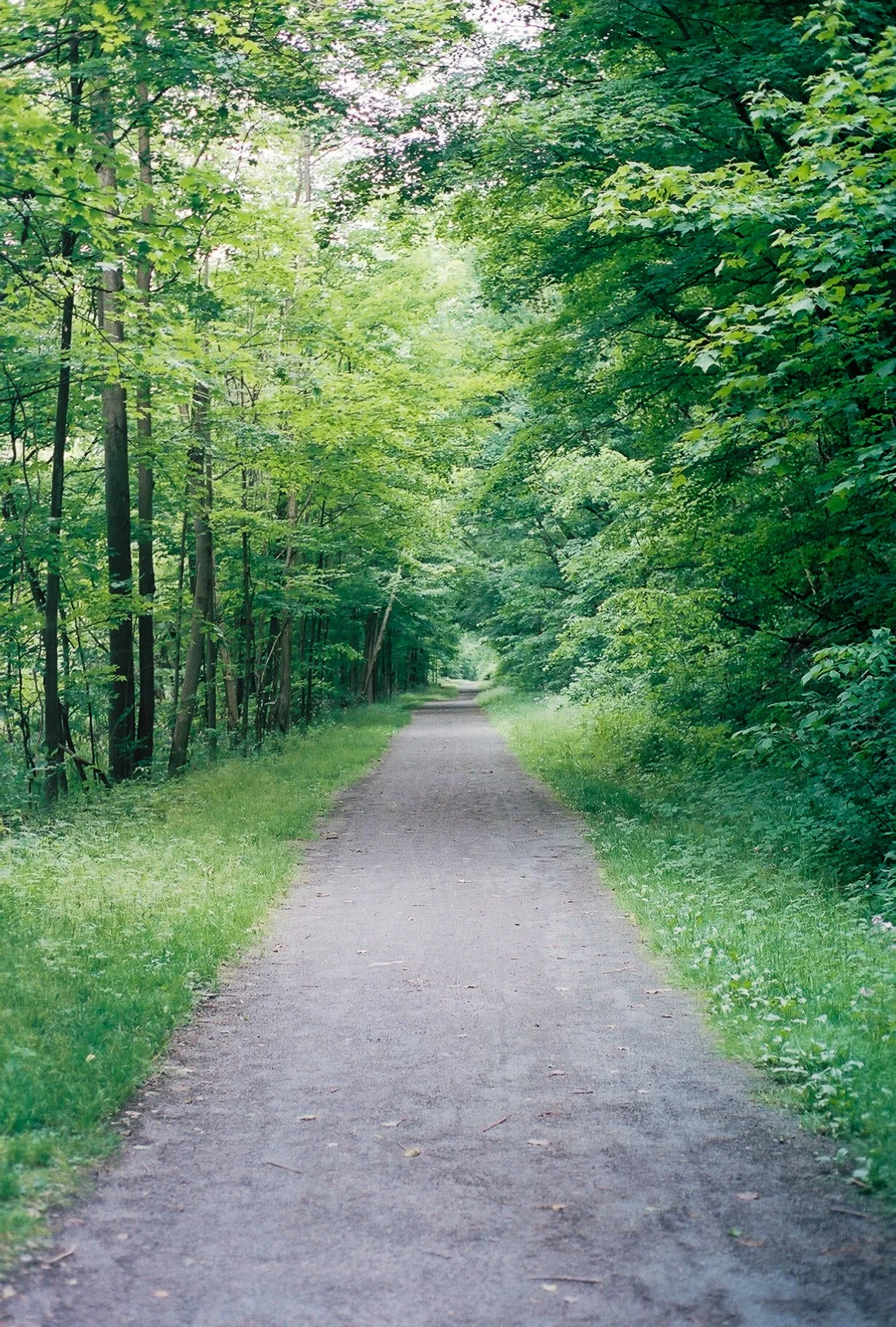 3880090_3880090-R1-029-13.jpg