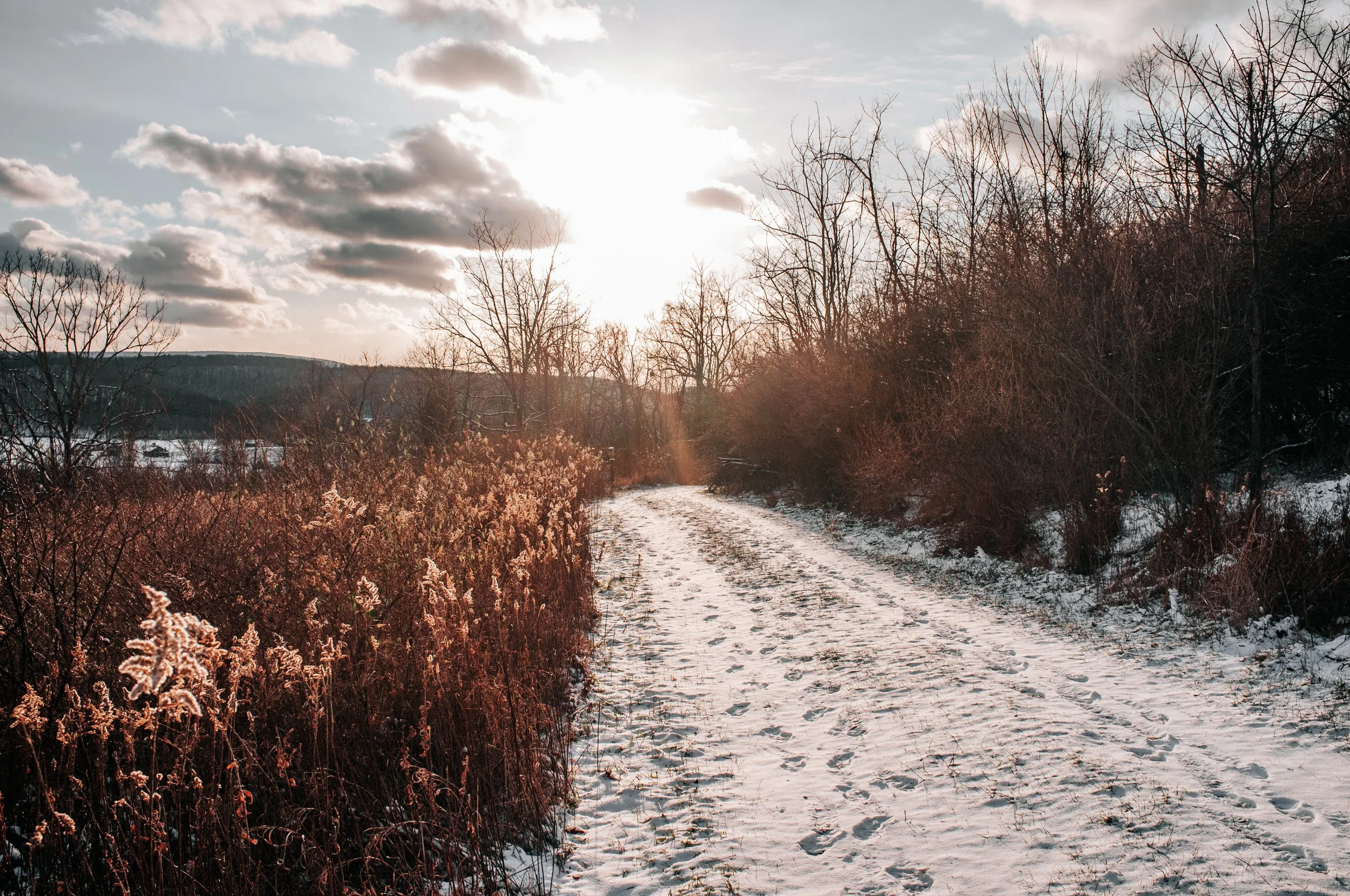 Snow-covered dirt path through a winter landscape with bare trees and plants under a partly cloudy sky with the sun shining.