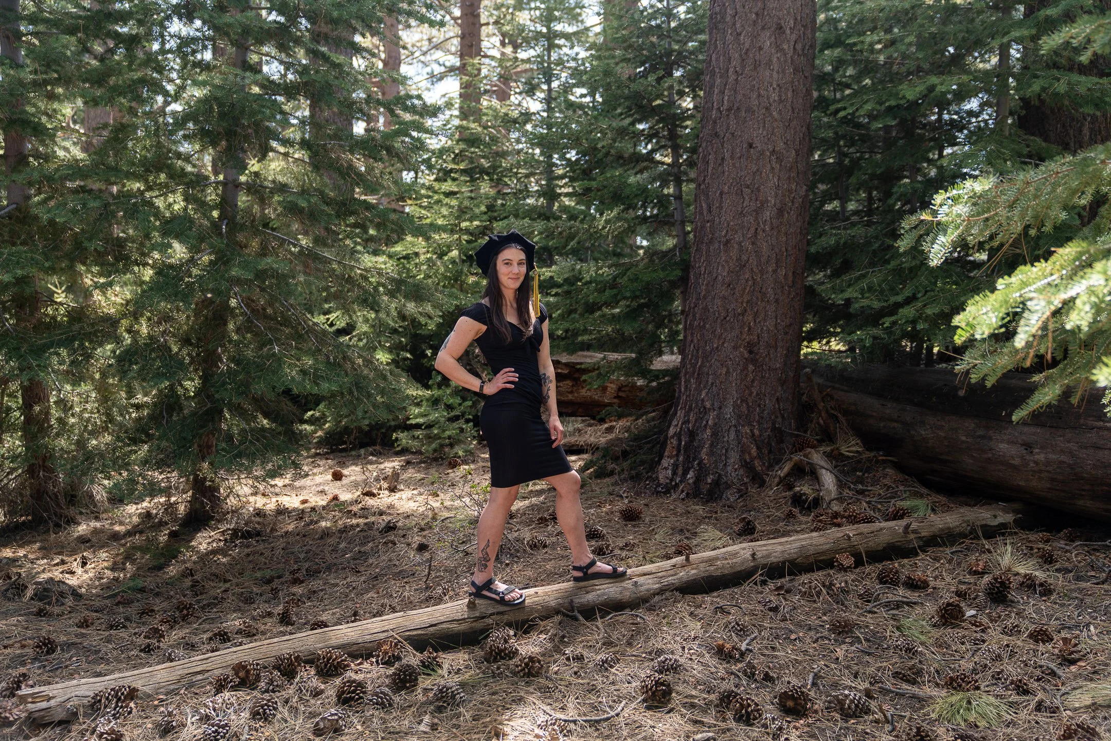A woman in a black dress and black cap standing on a log in a forest surrounded by tall pine trees and pinecones.