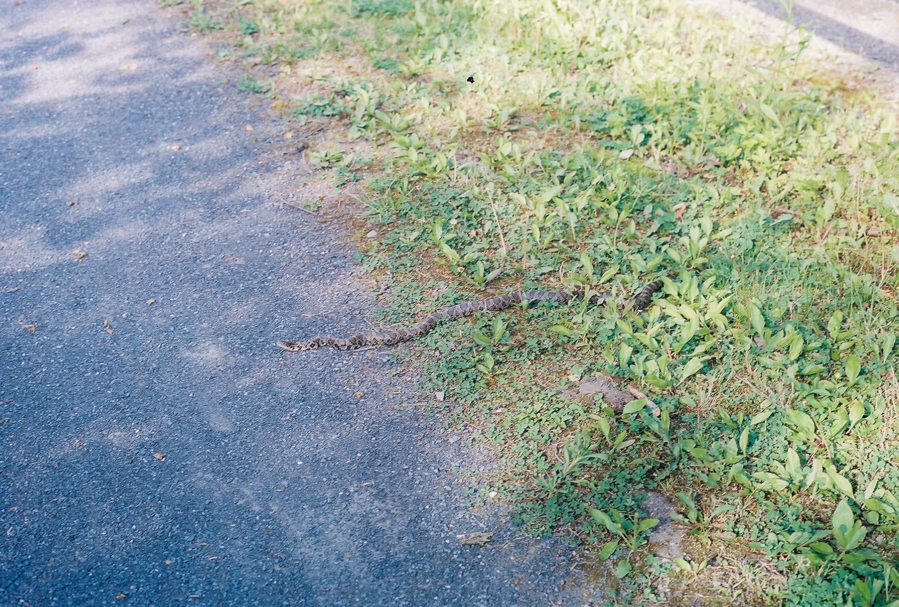 3880090_3880090-R1-019-8.jpg
